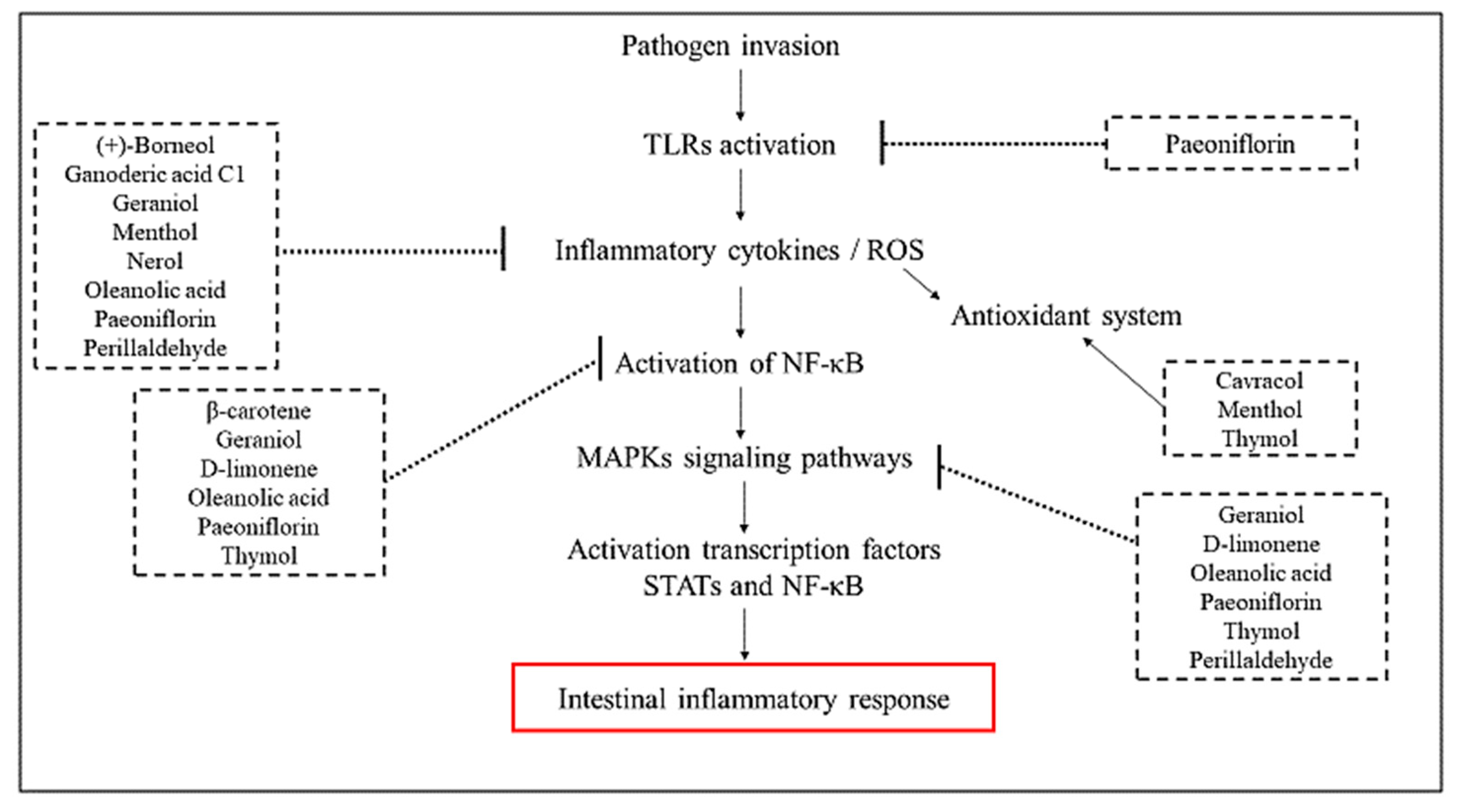 Molecules 25 05430 g013 Molecules 25 05430 g013