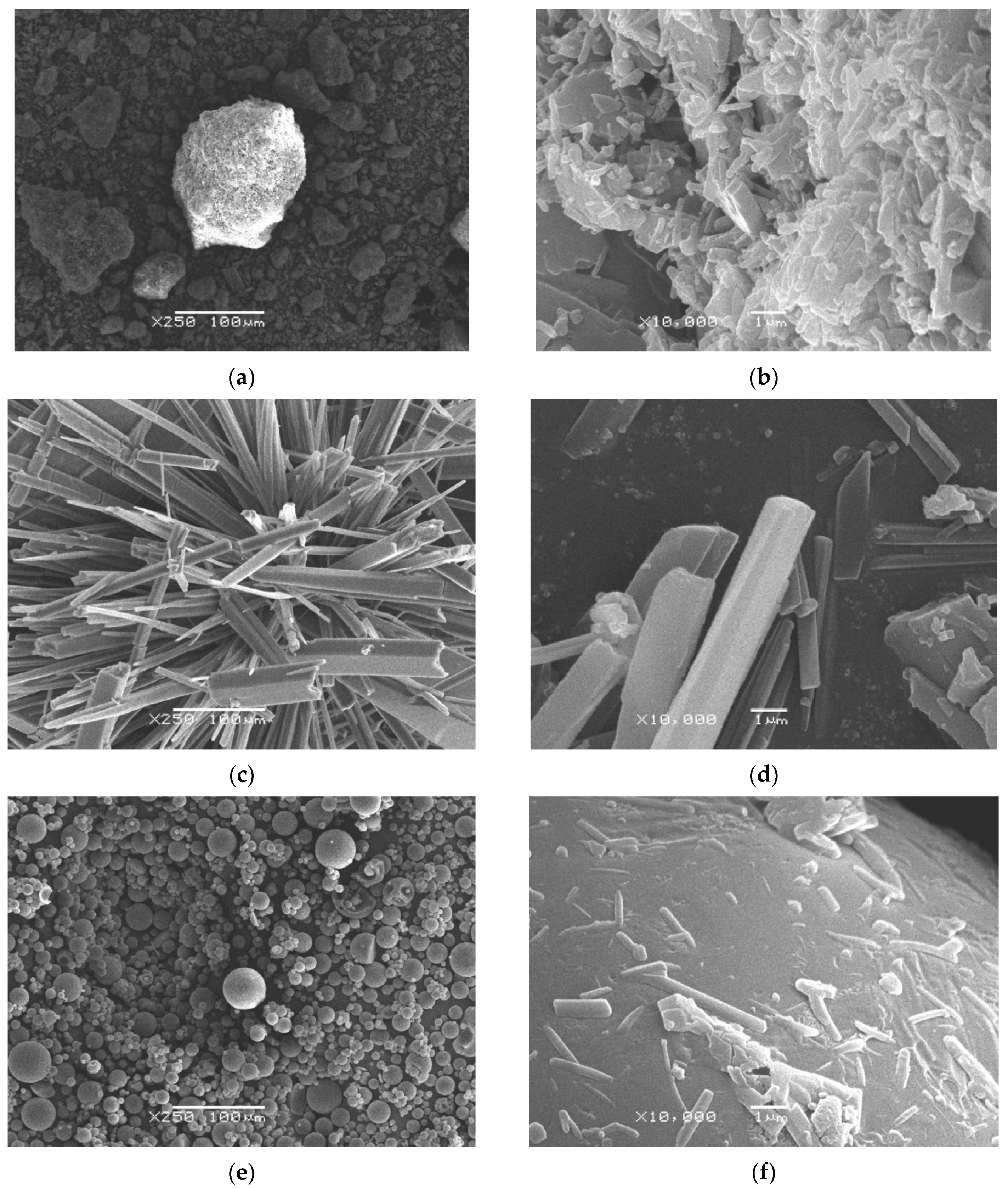 Molecules 25 05437 g002