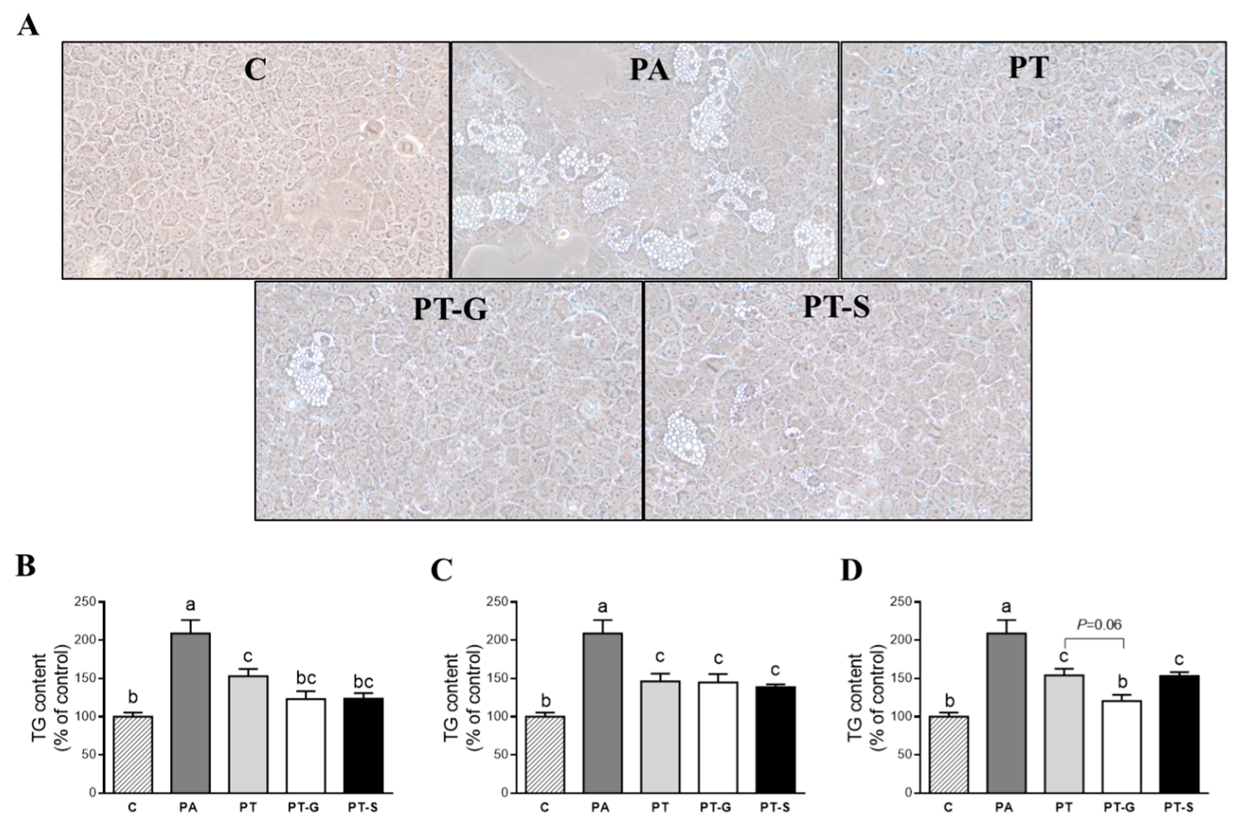Molecules 25 05444 g001