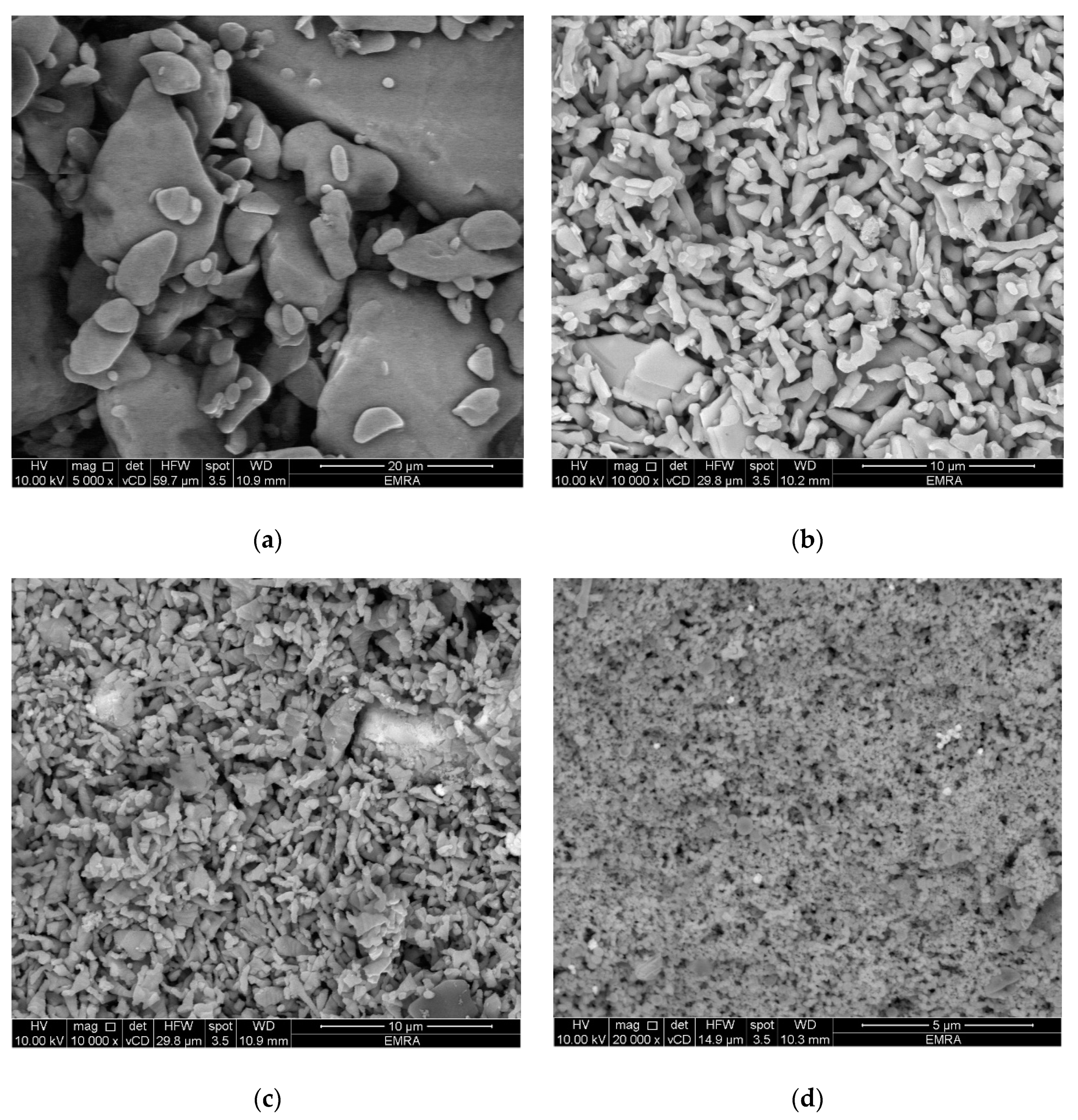 Molecules 25 05447 g002