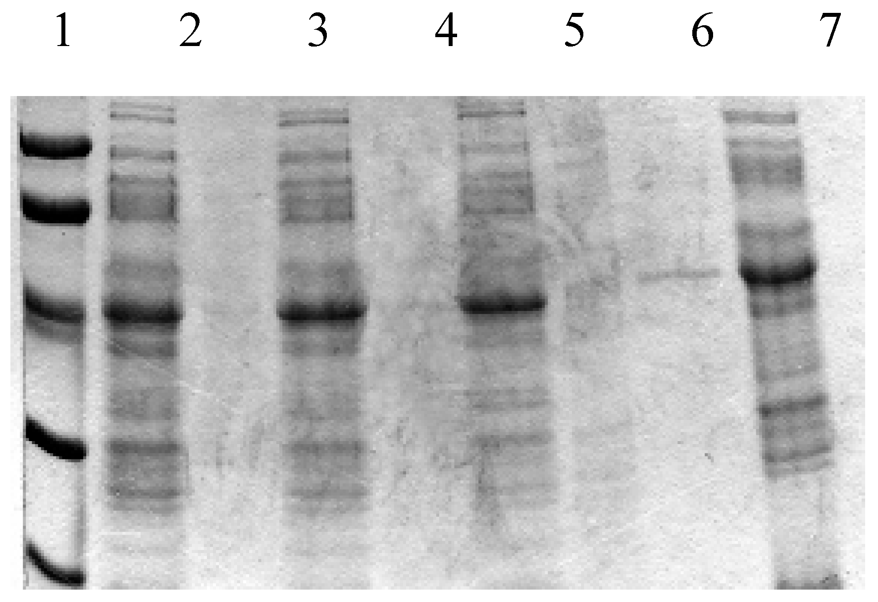 Molecules 25 05448 g002 Molecules 25 05448 g002