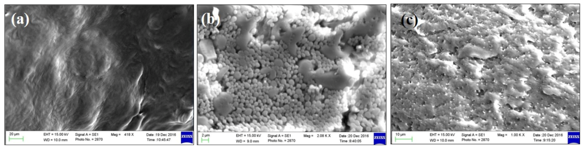 Molecules 25 05453 g003
