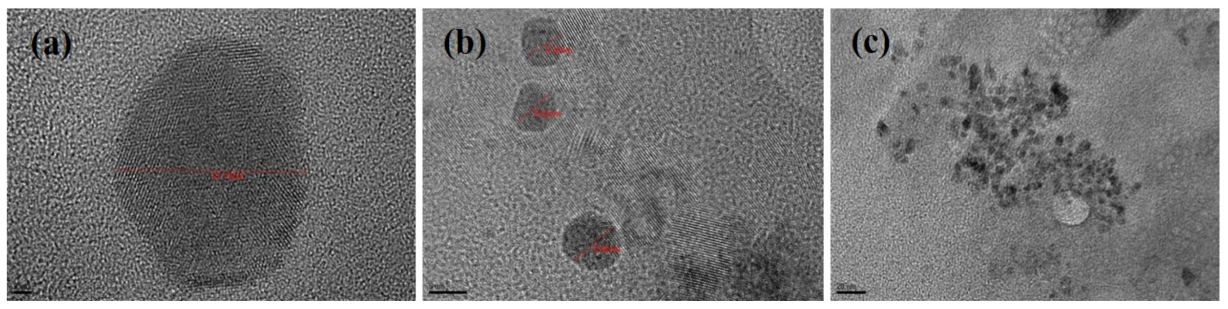 Molecules 25 05453 g004