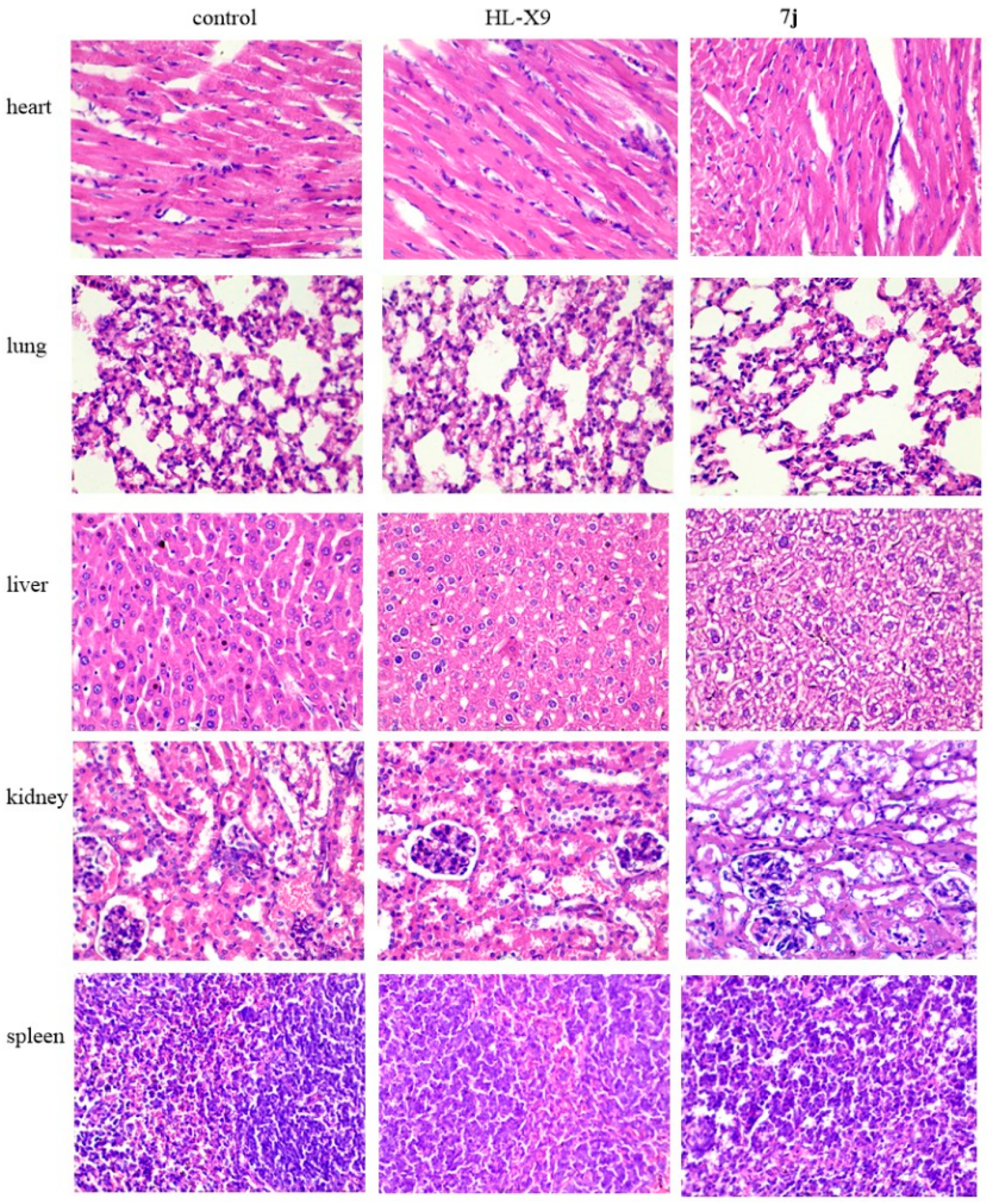 Molecules 25 05459 g006
