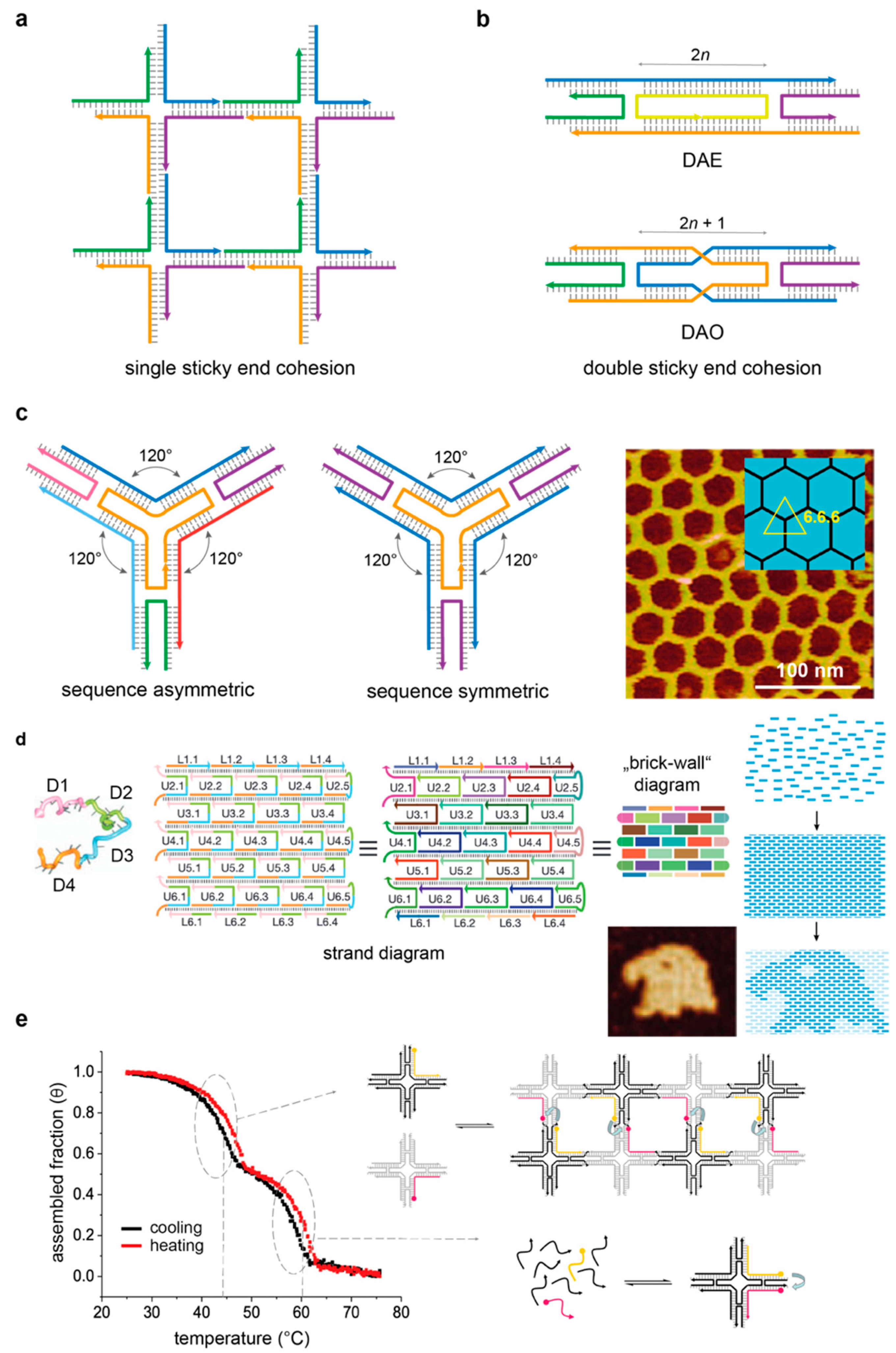Molecules 25 05466 g003 Molecules 25 05466 g003