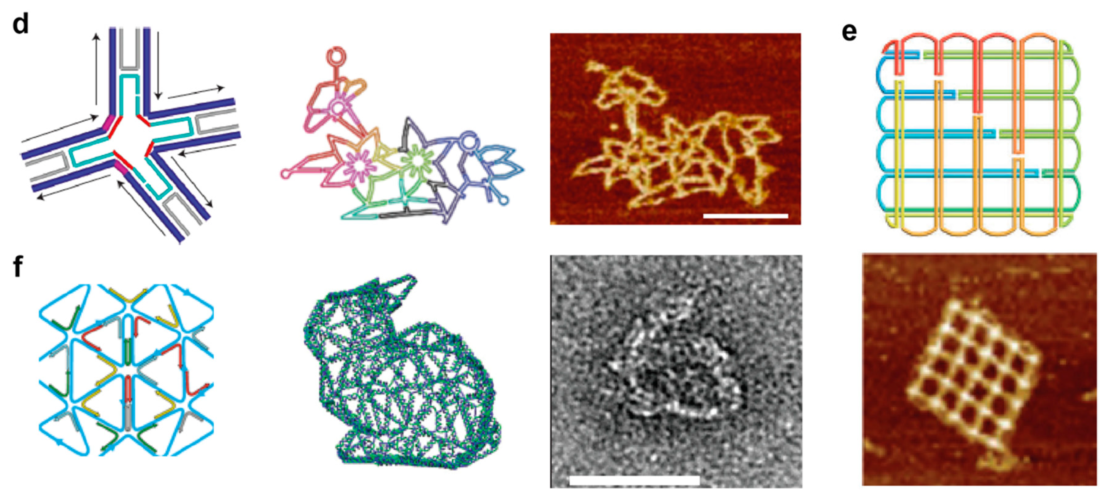Molecules 25 05466 g004b Molecules 25 05466 g004b