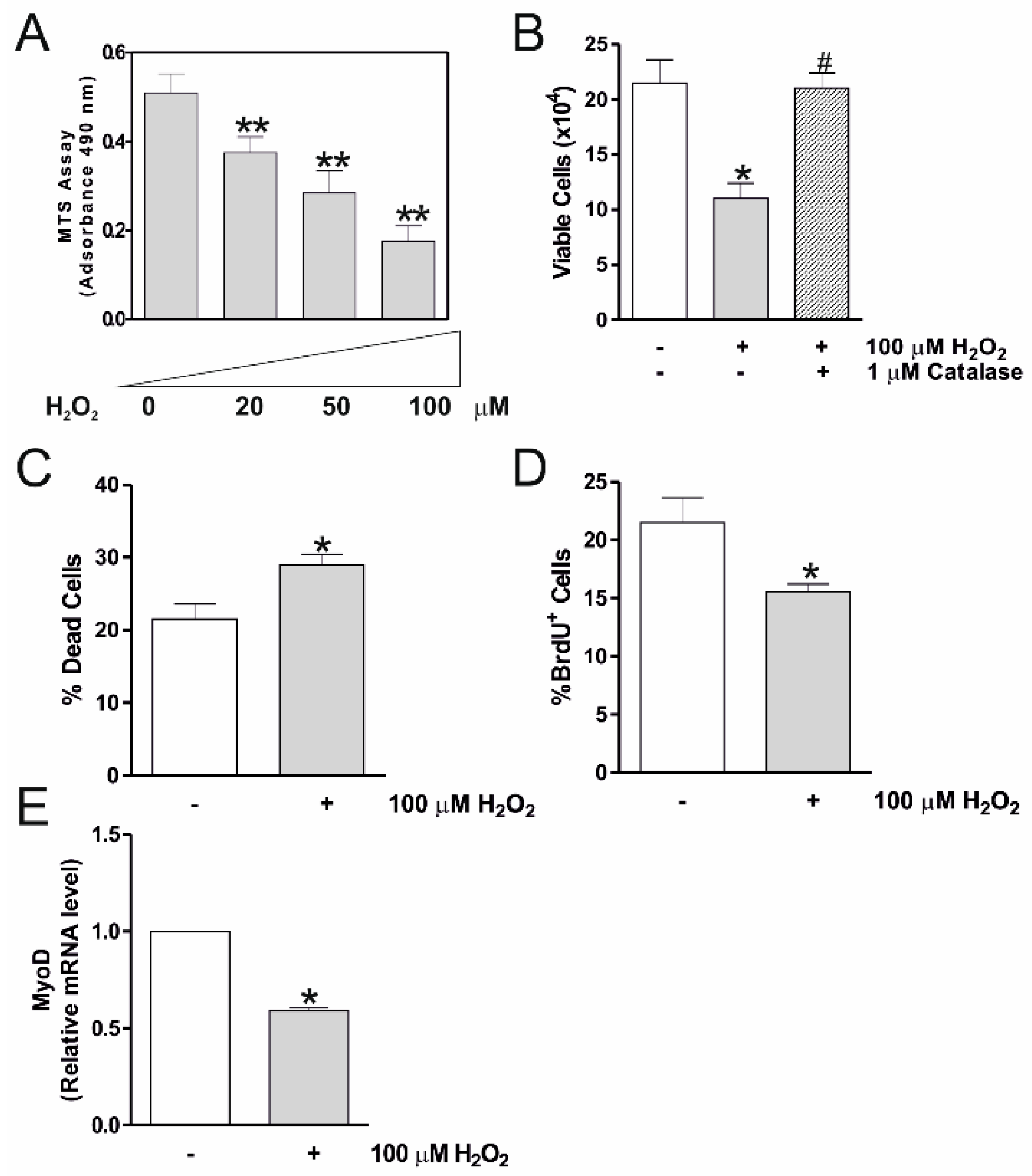 Molecules 25 05472 g001