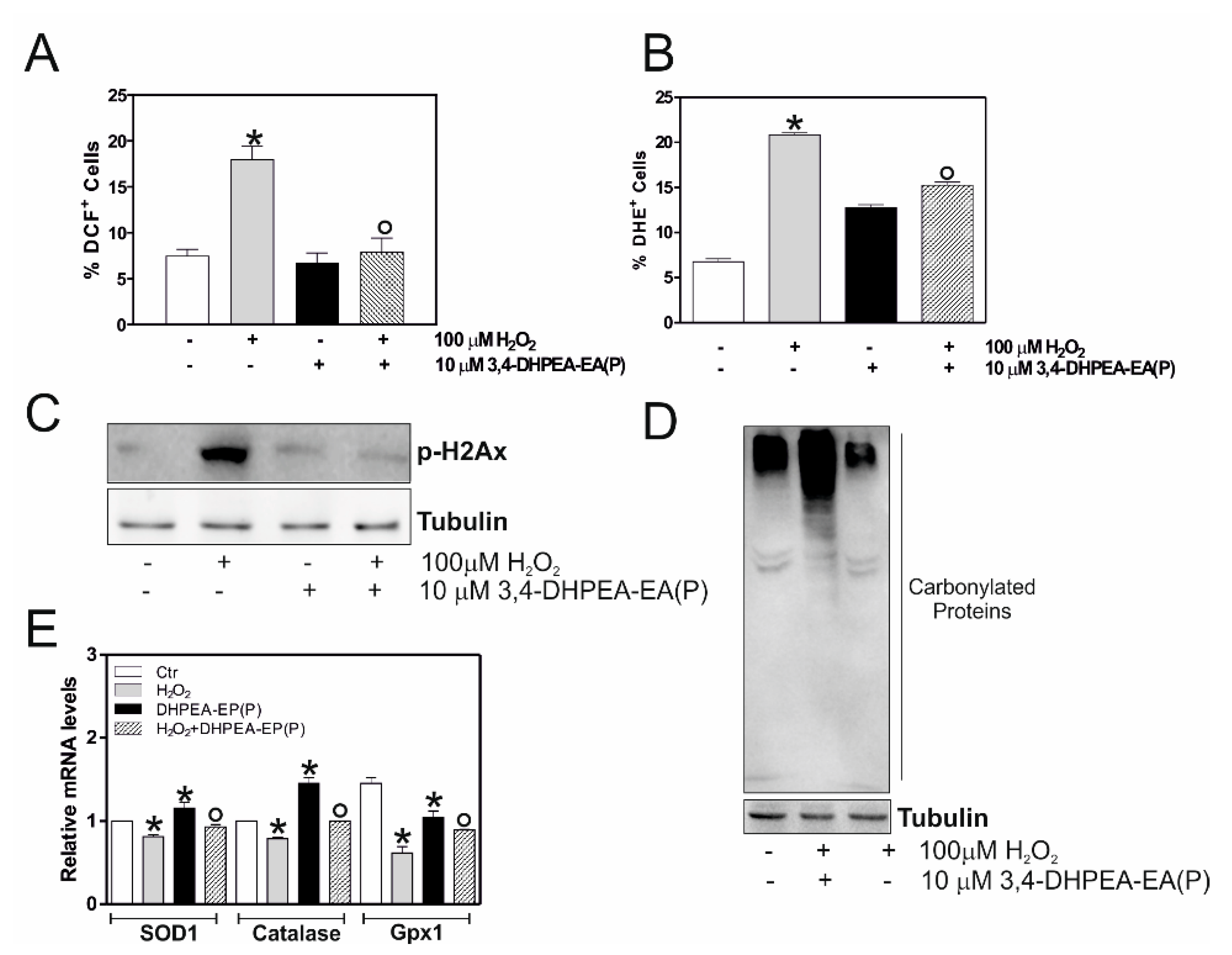 Molecules 25 05472 g003