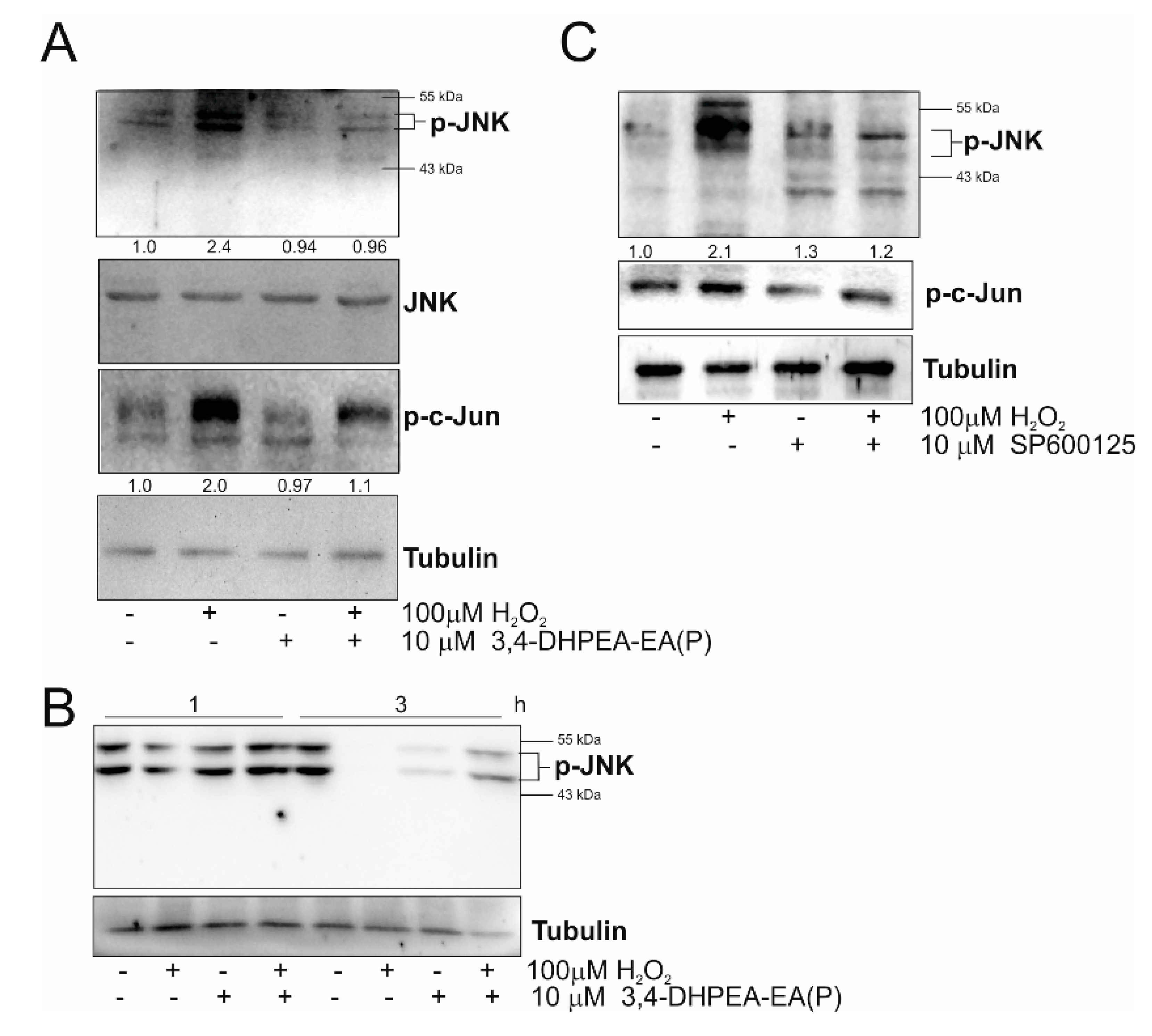 Molecules 25 05472 g004