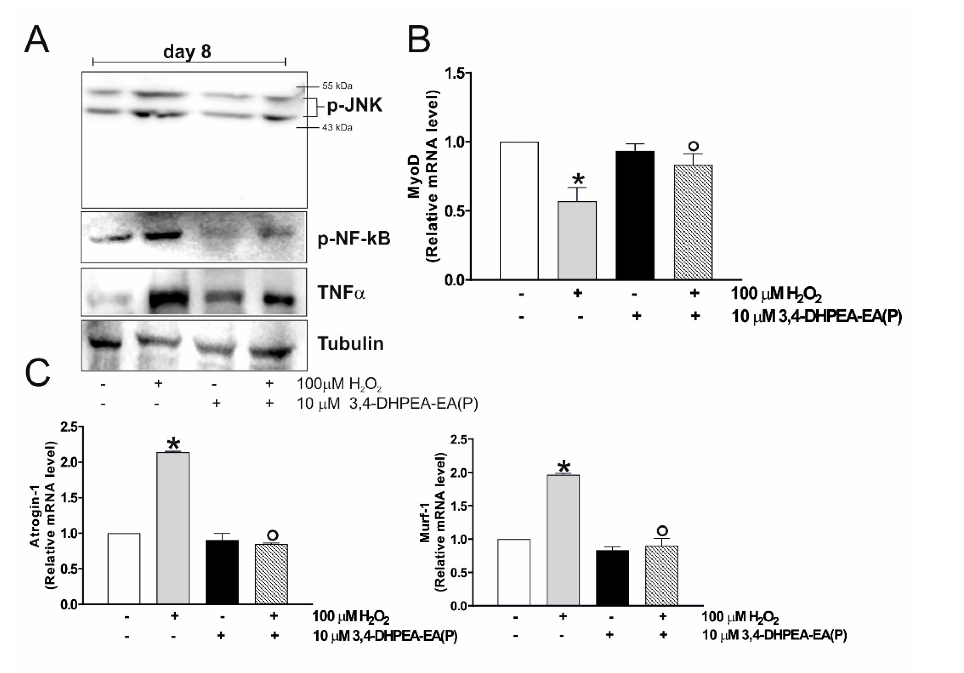 Molecules 25 05472 g005