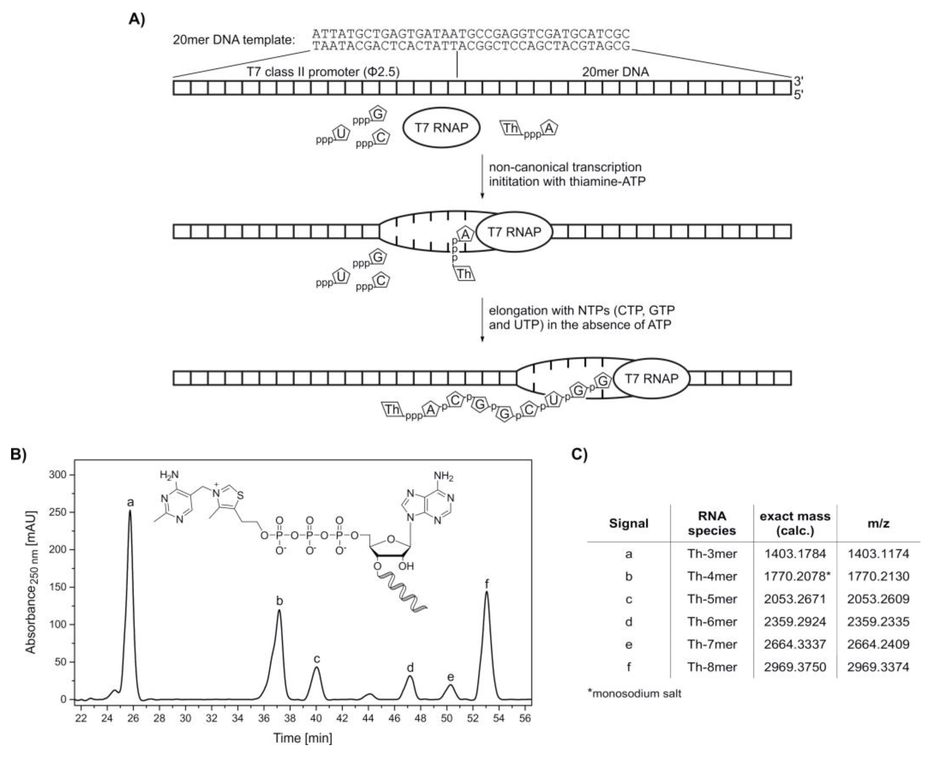 Molecules 25 05492 g003