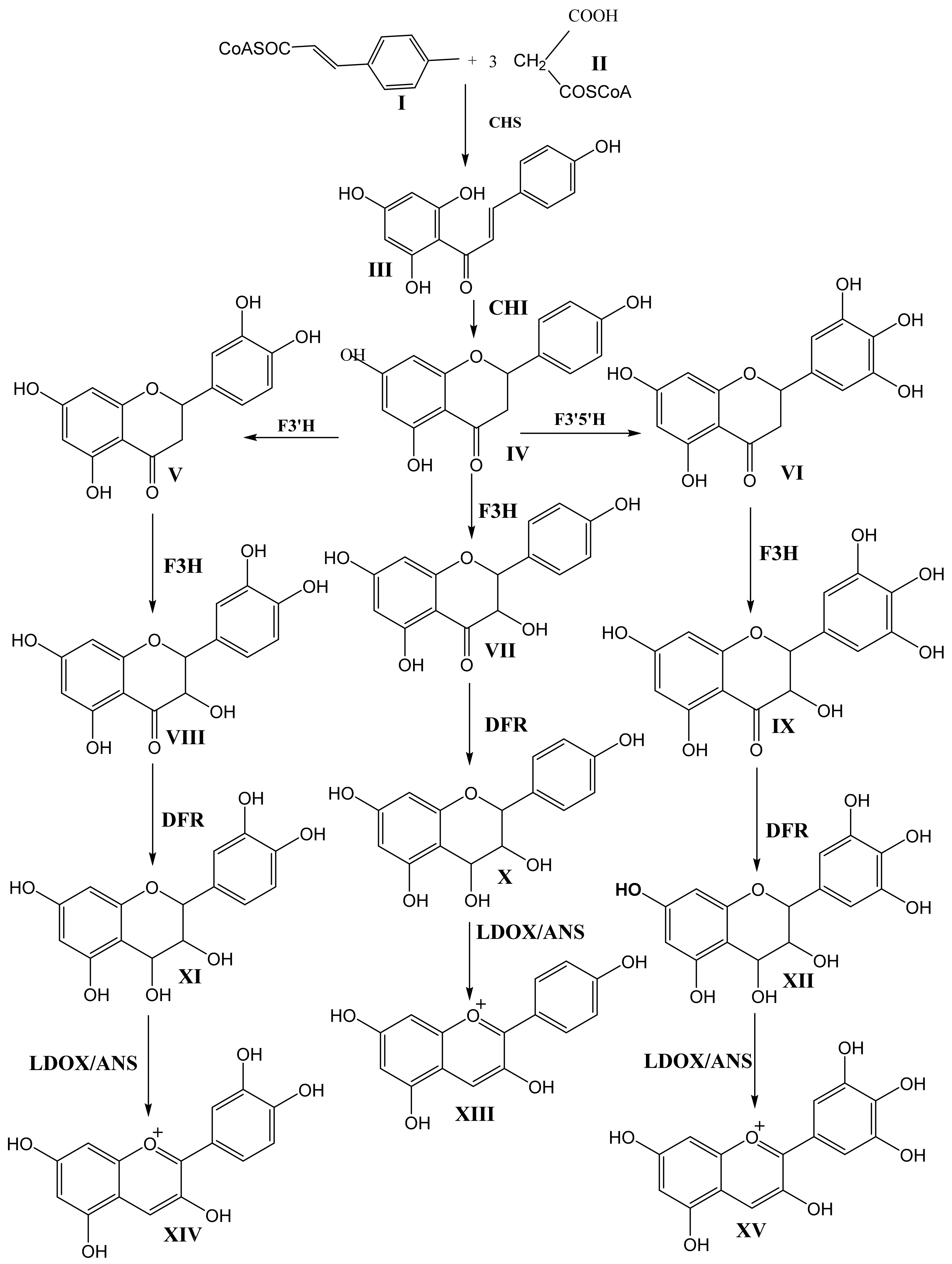 Molecules 25 05500 g002