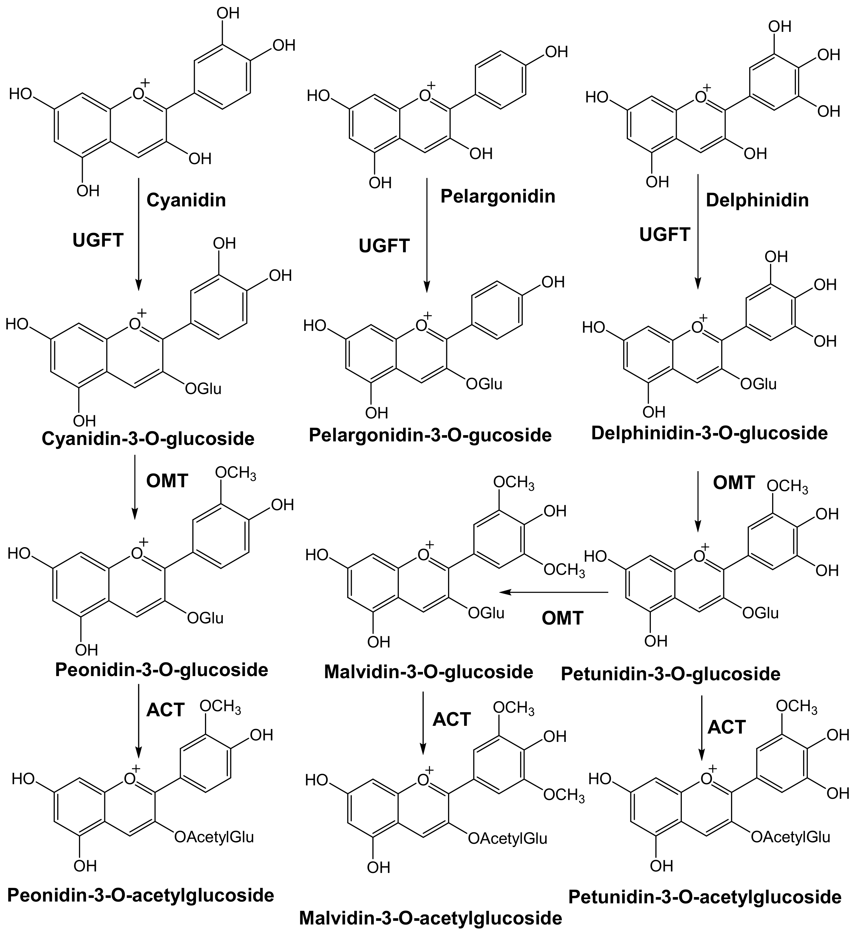 Molecules 25 05500 g003