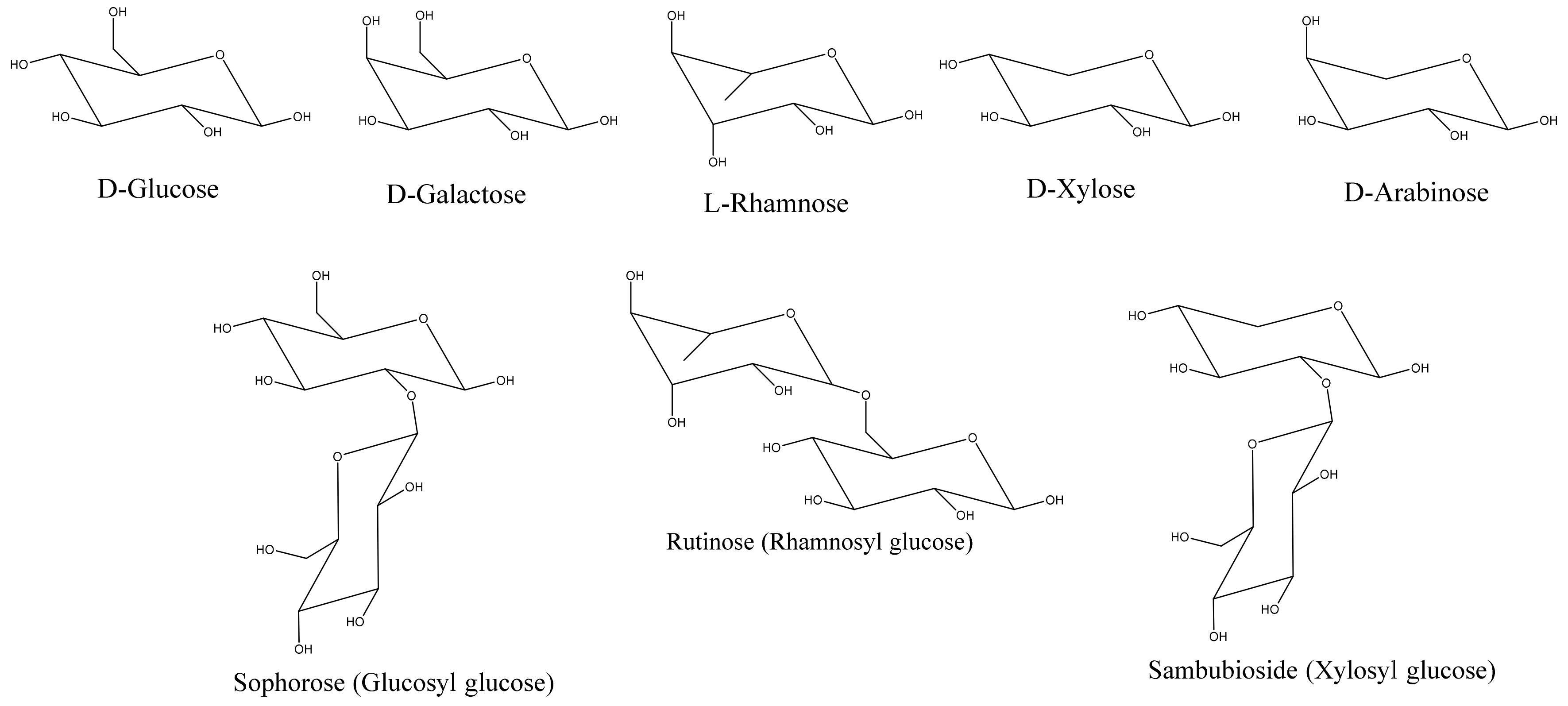 Molecules 25 05500 g006