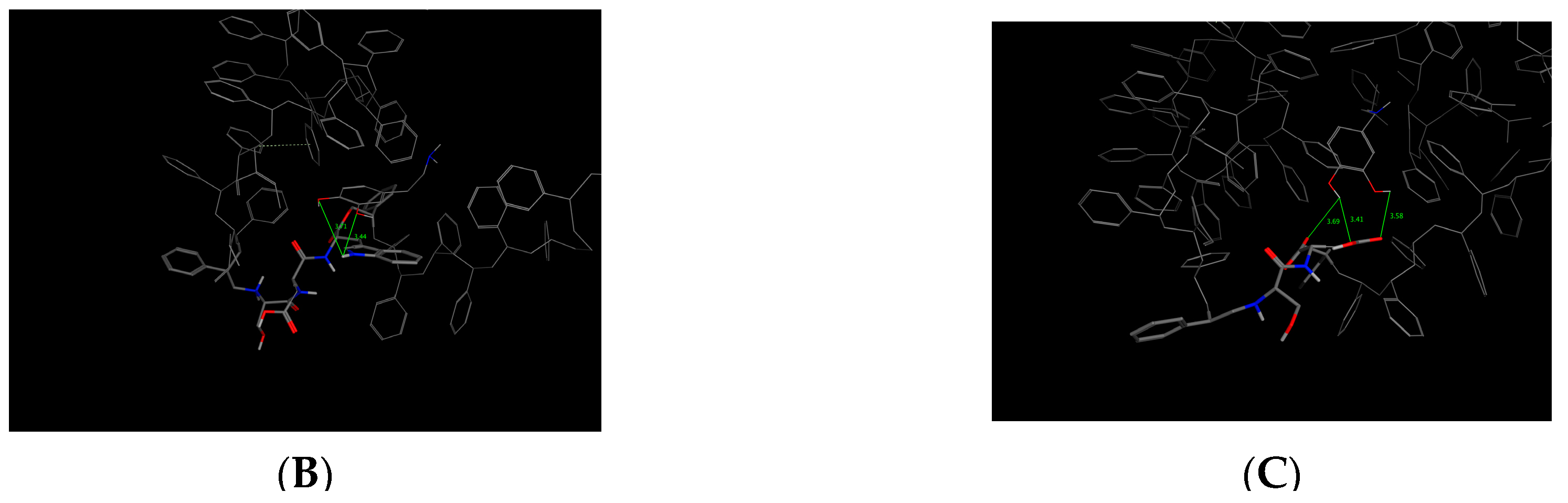 Molecules 25 05509 g010b