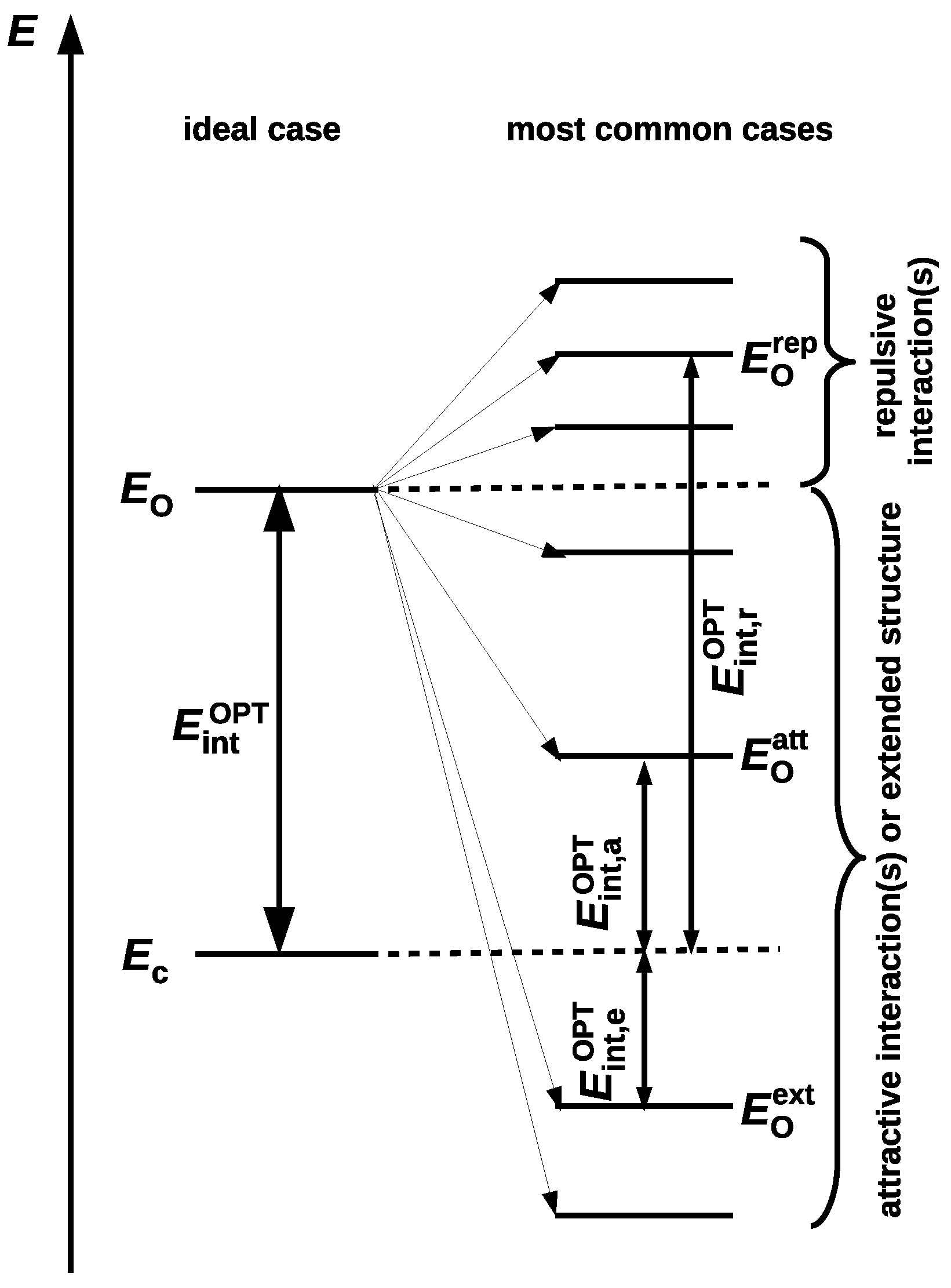 Molecules 25 05512 g005 Molecules 25 05512 g005