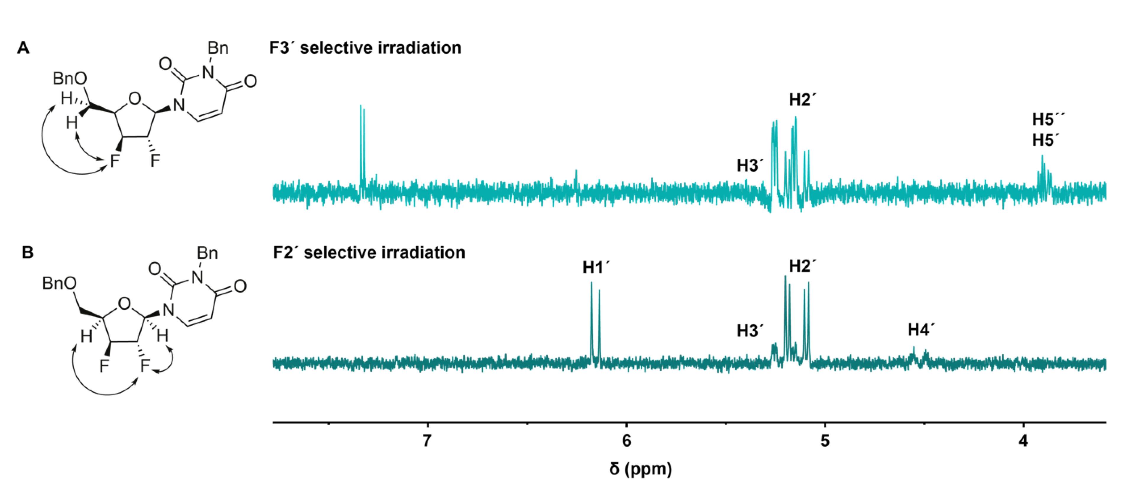 Molecules 25 05513 g002