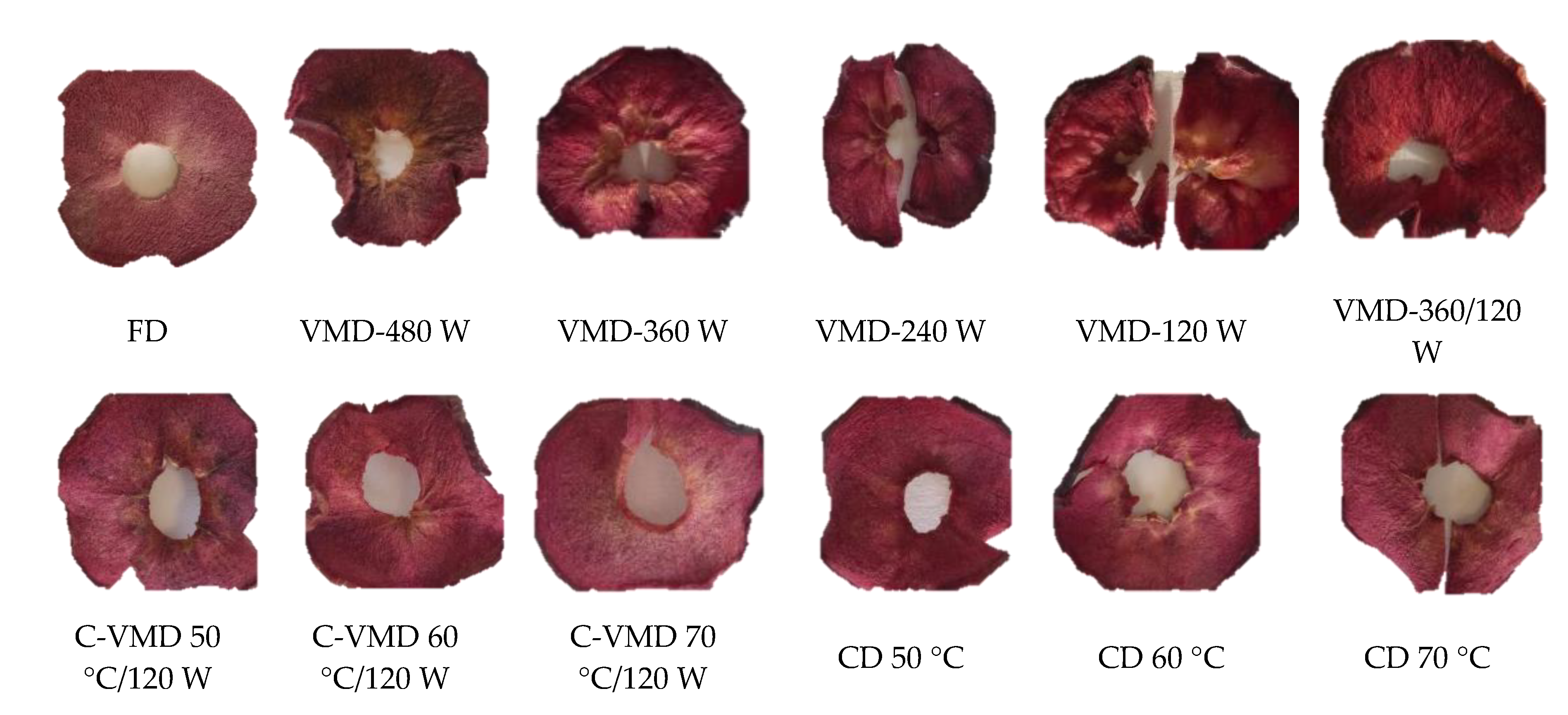 Molecules 25 05521 g002 Molecules 25 05521 g002