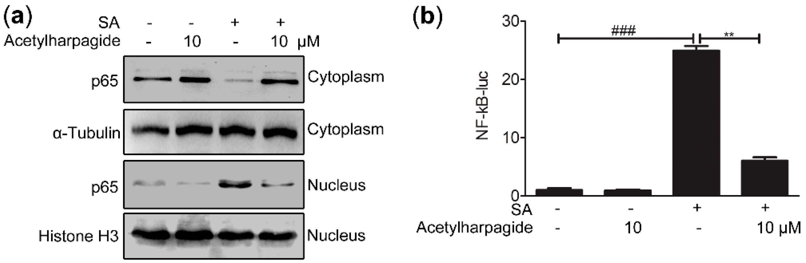 Molecules 25 05523 g006