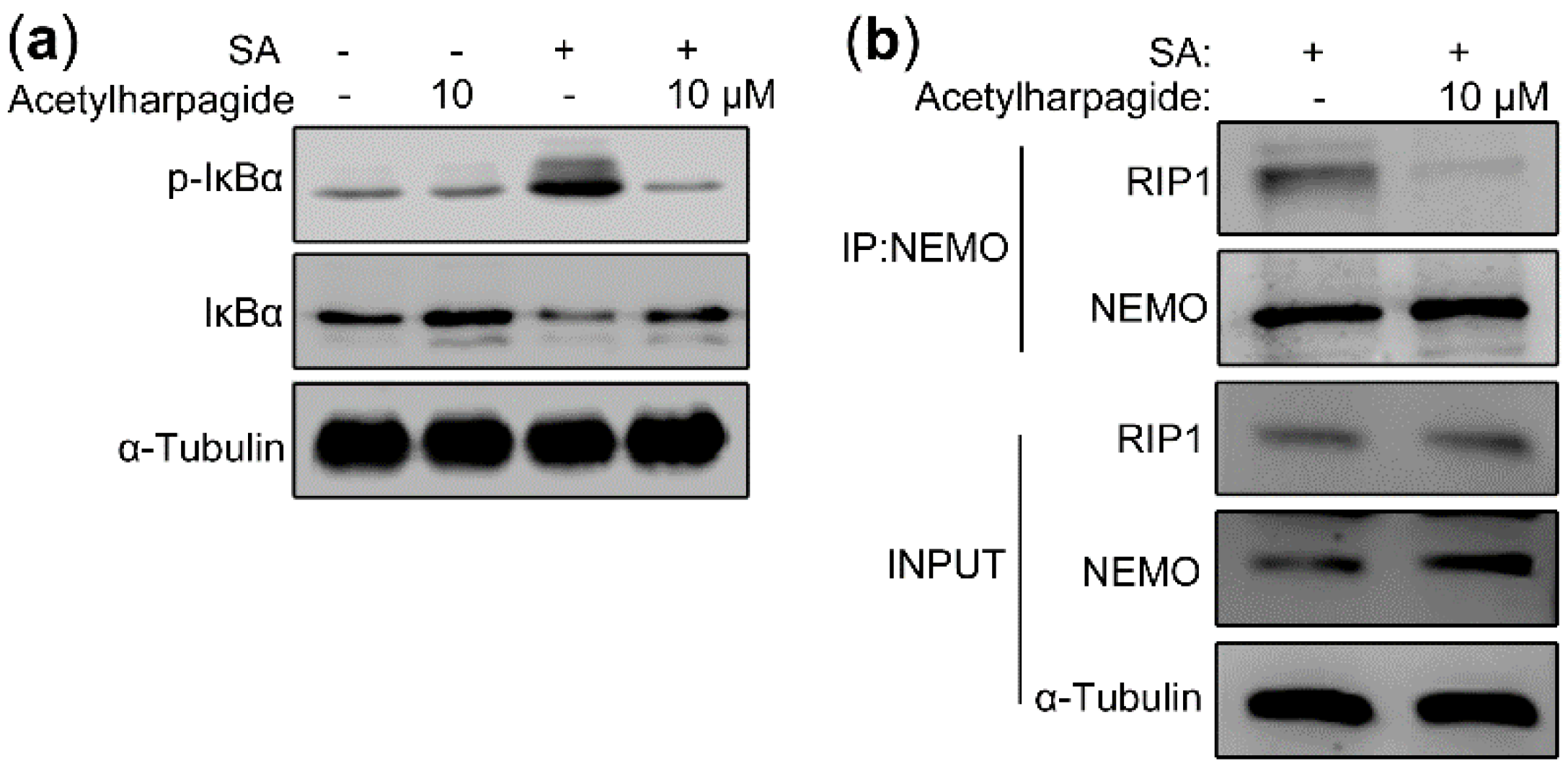 Molecules 25 05523 g007