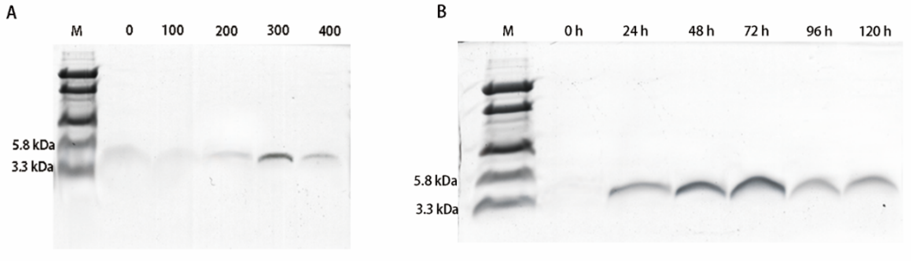 Molecules 25 05538 g001