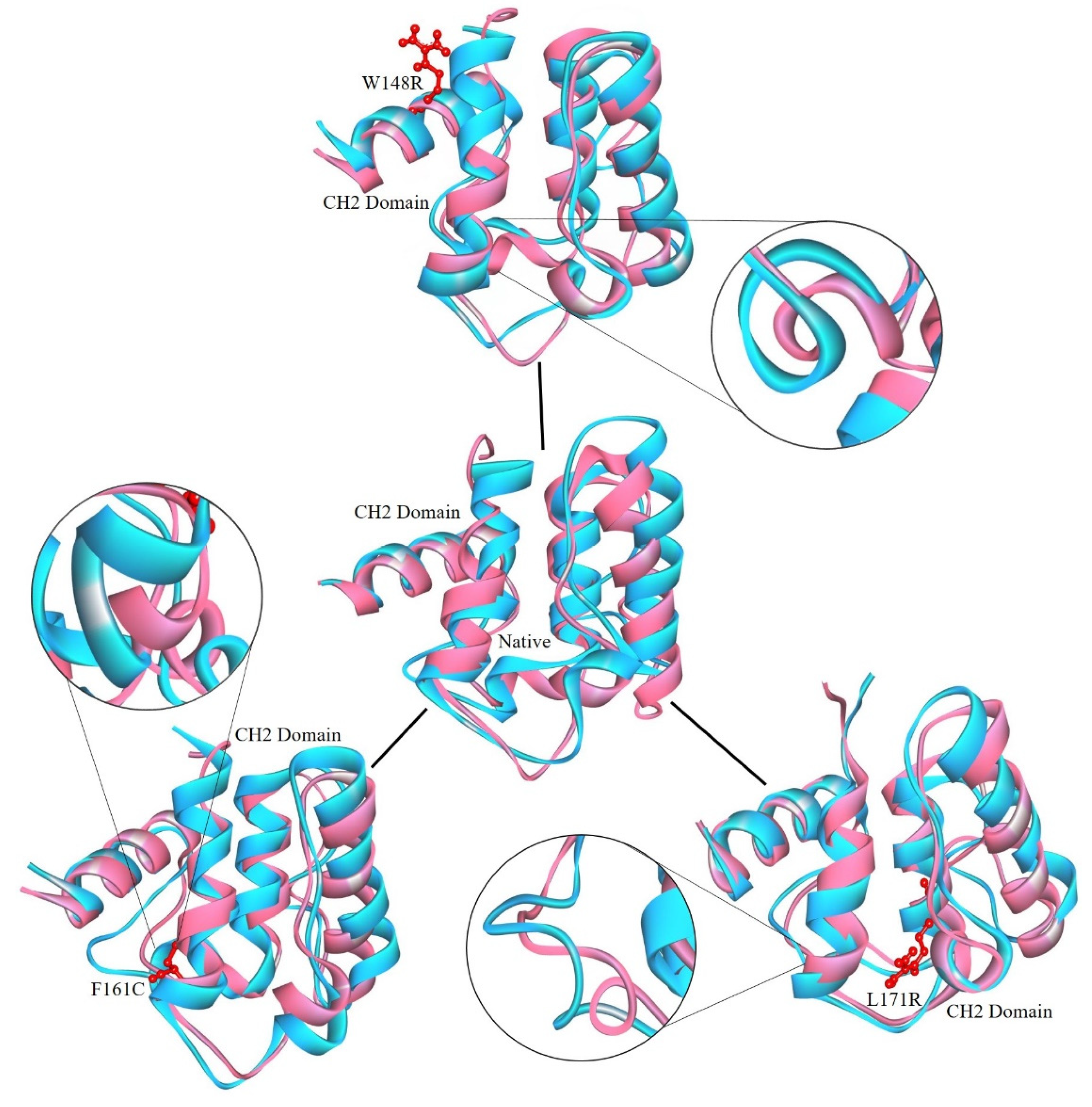 Molecules 25 05543 g007
