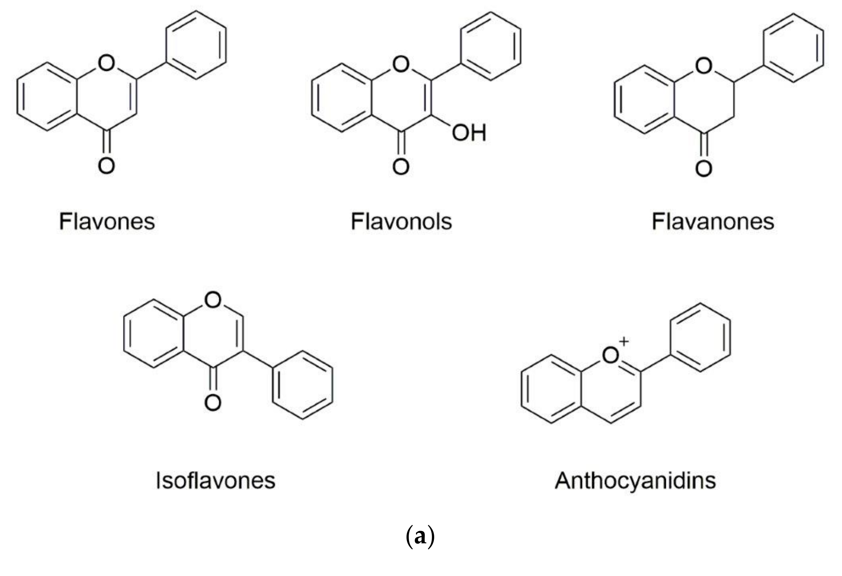 Molecules 25 05545 g001a