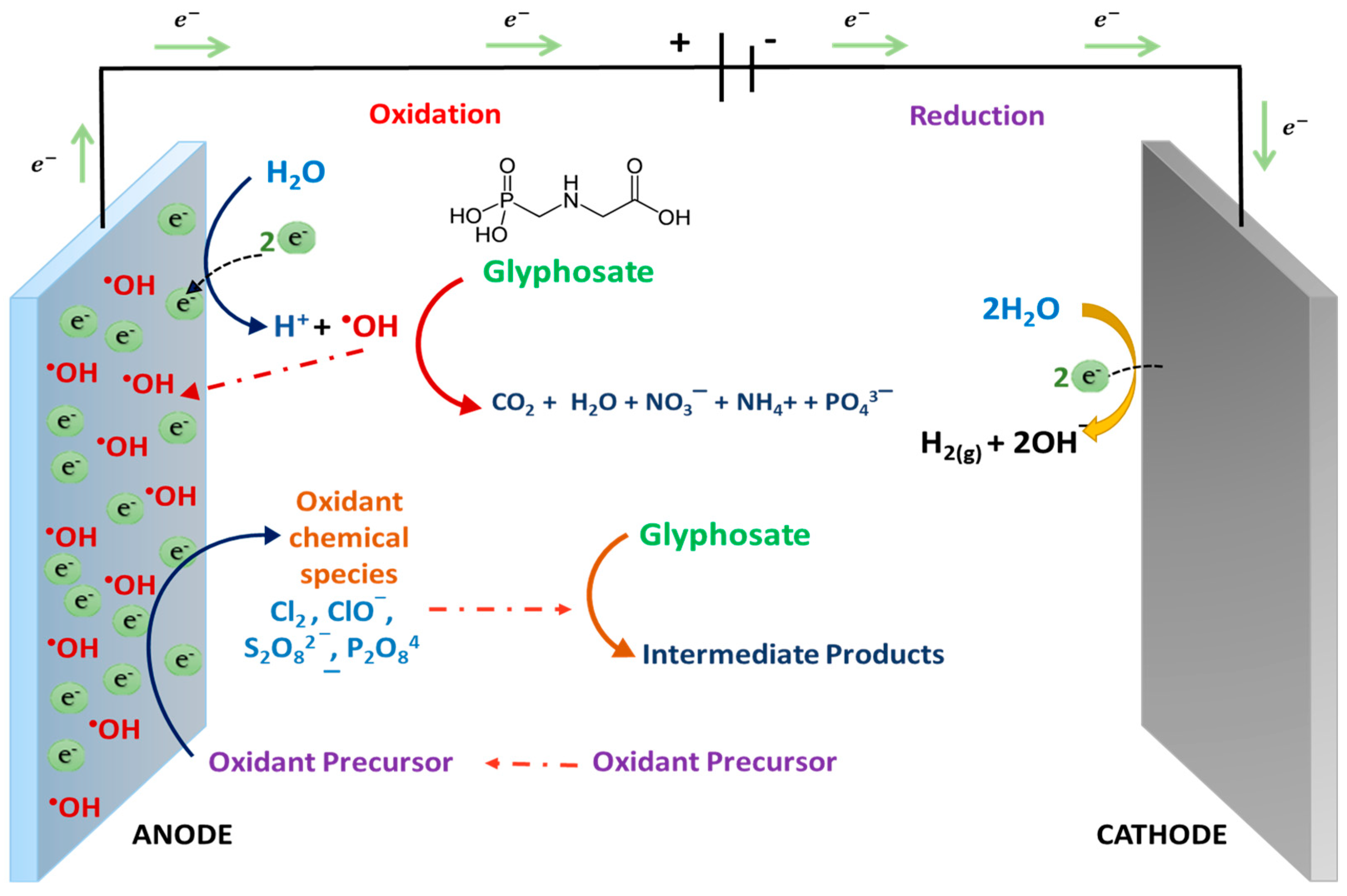 Molecules 25 05550 g004