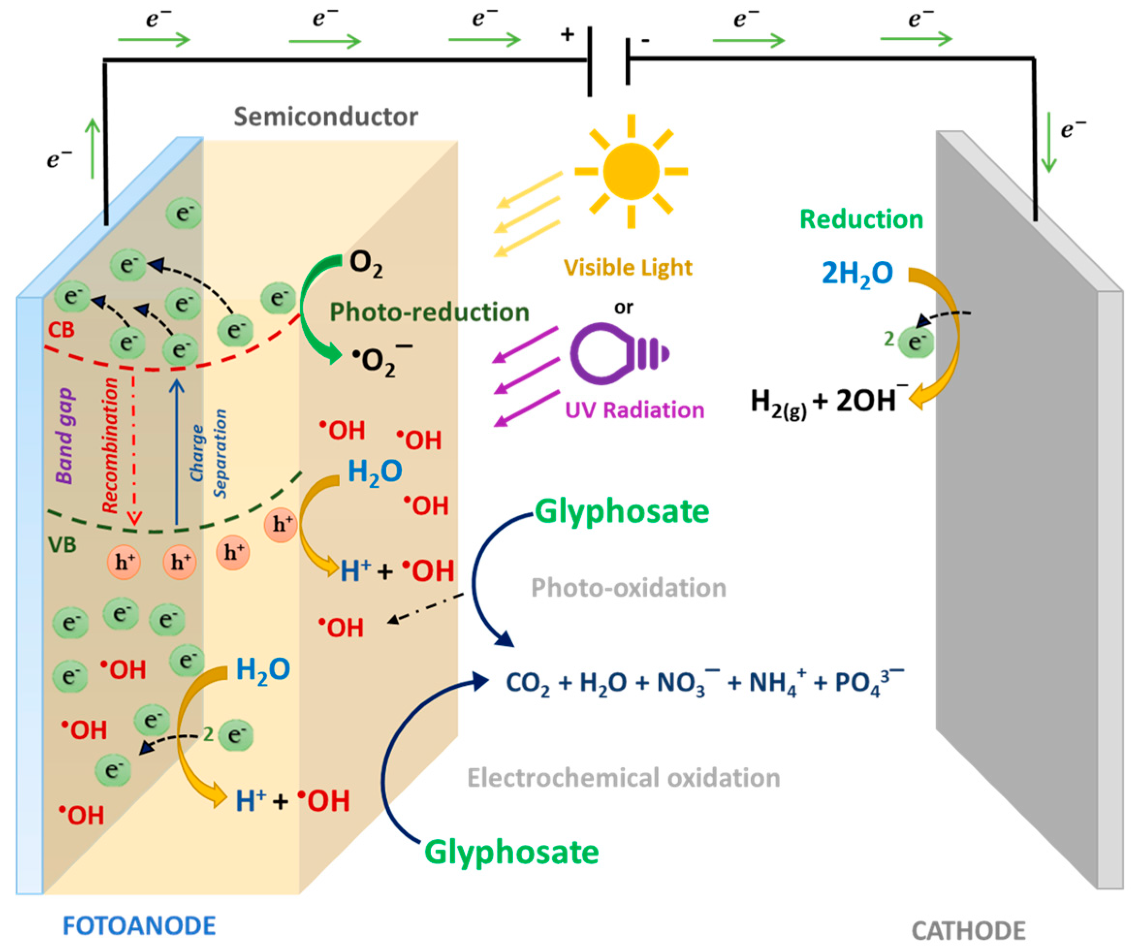 Molecules 25 05550 g005