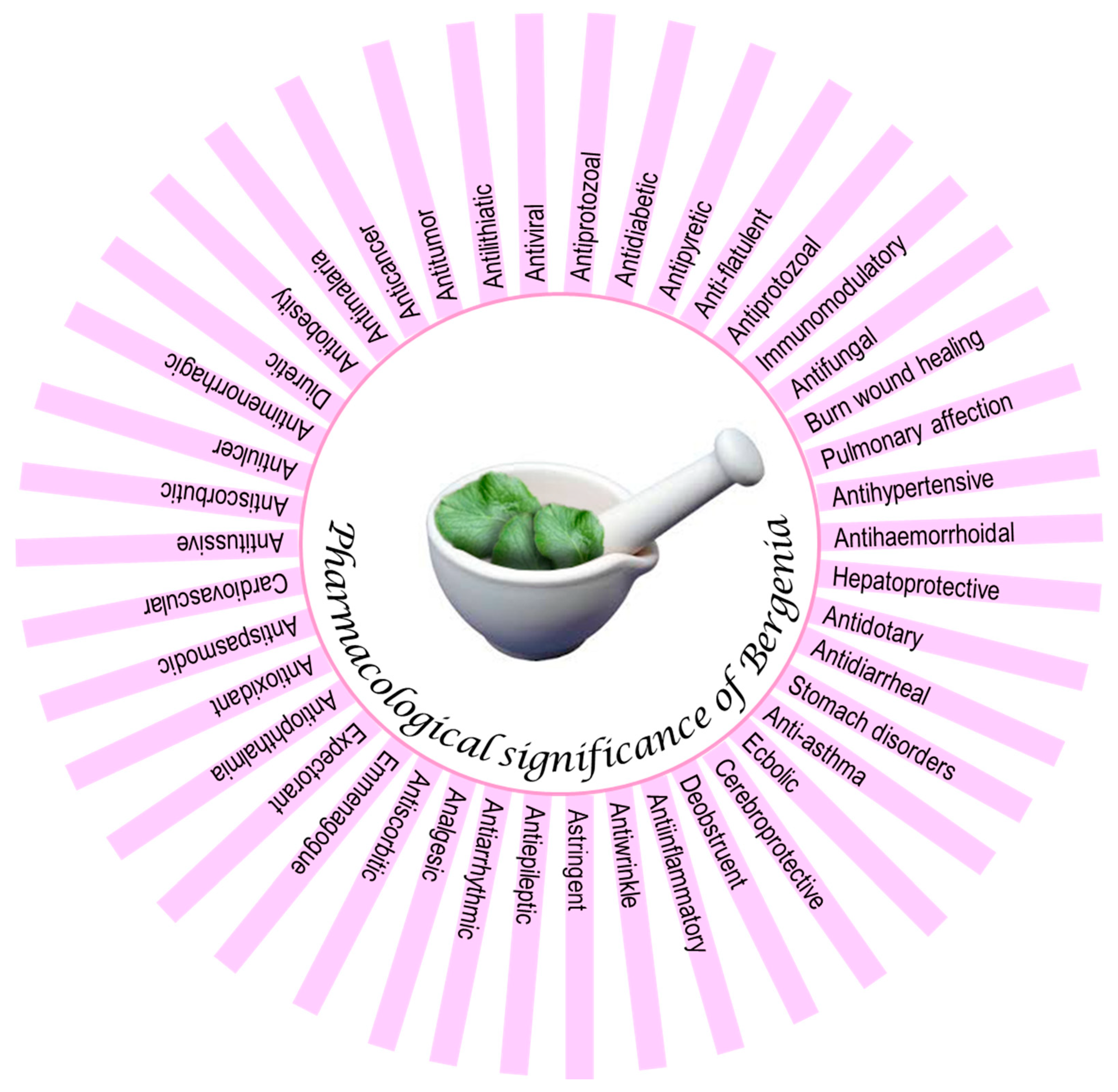 Molecules 25 05555 g002