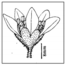 Molecules 25 05555 i009