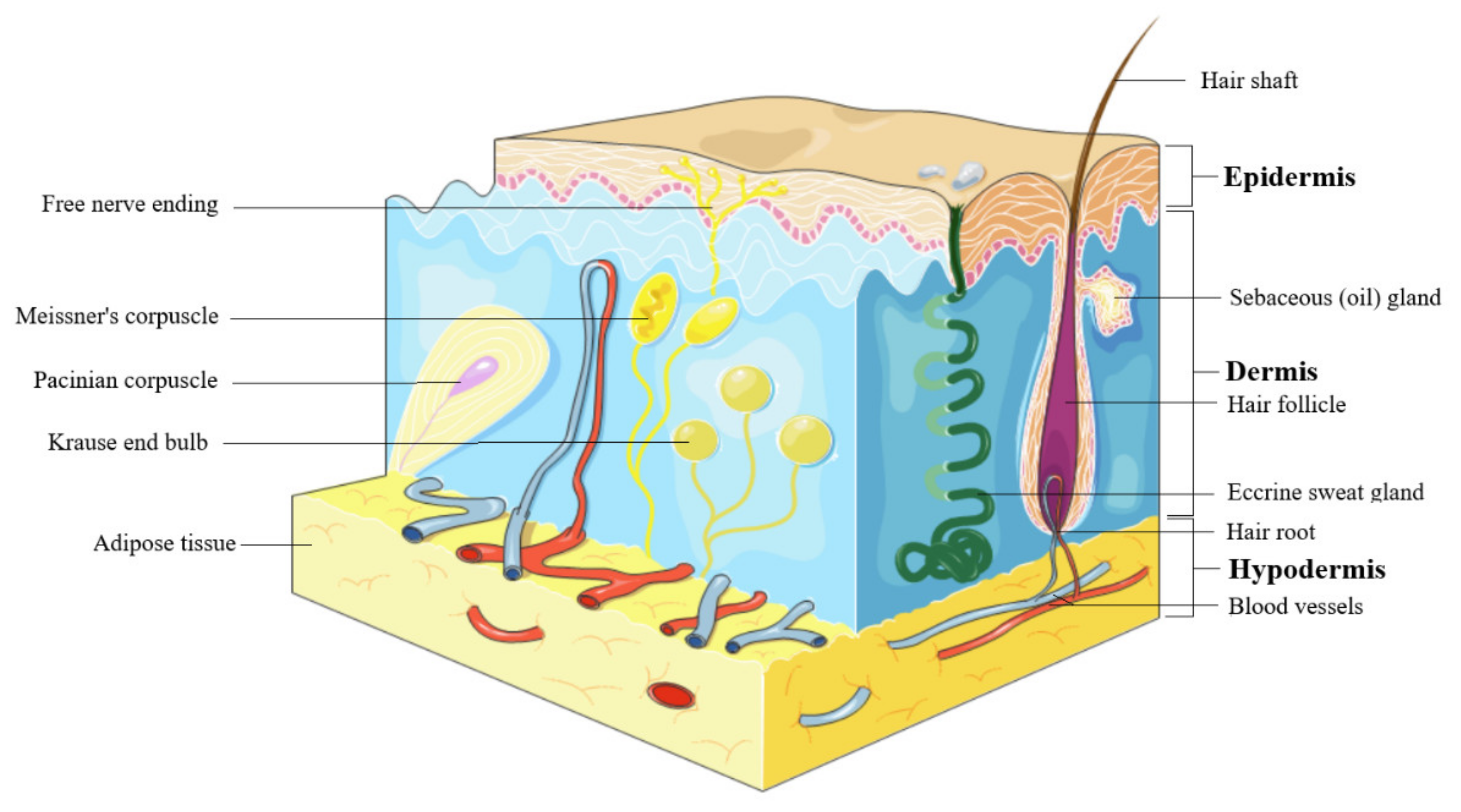 Molecules 25 05557 g001 Molecules 25 05557 g001
