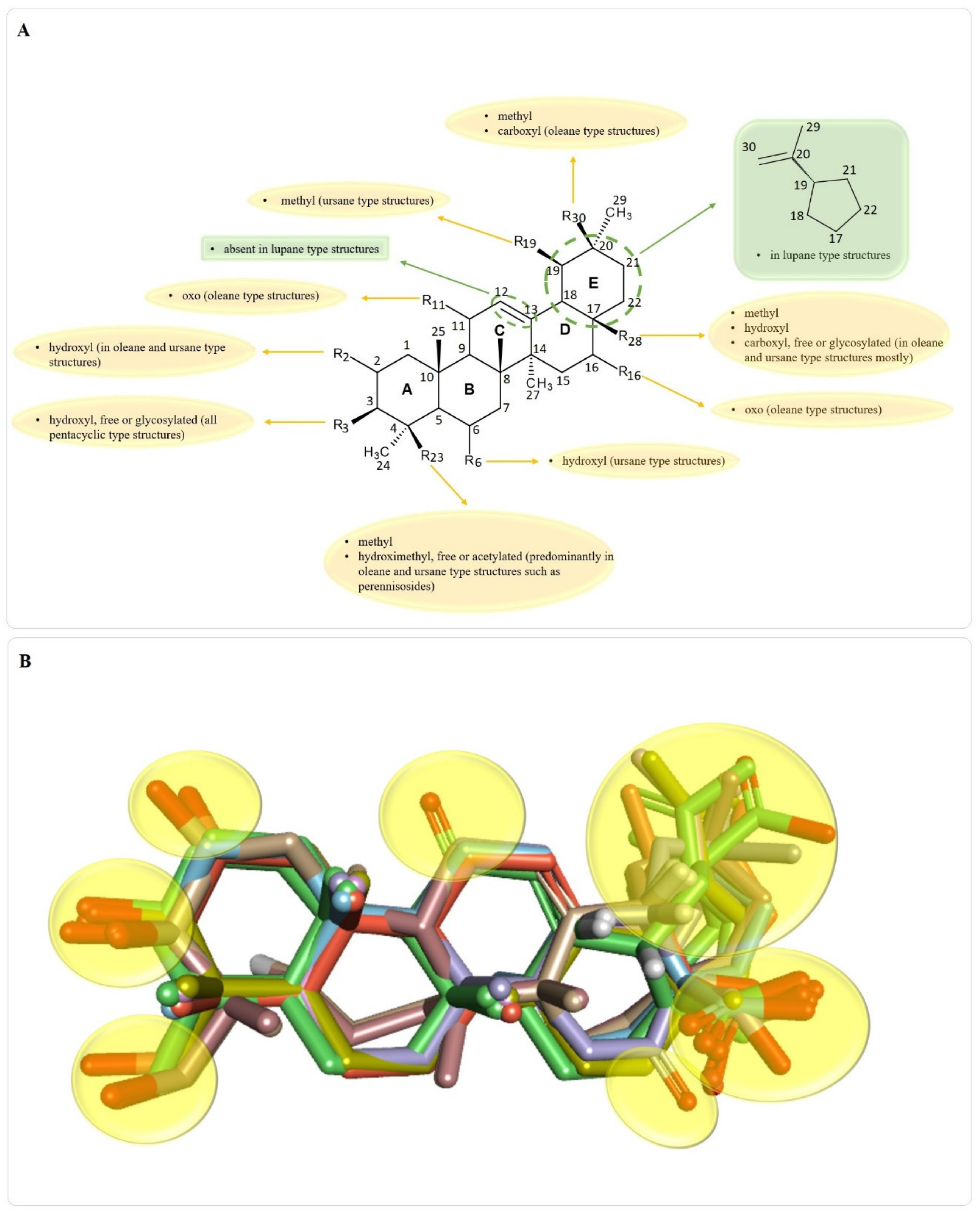 Molecules 25 05557 g007 Molecules 25 05557 g007
