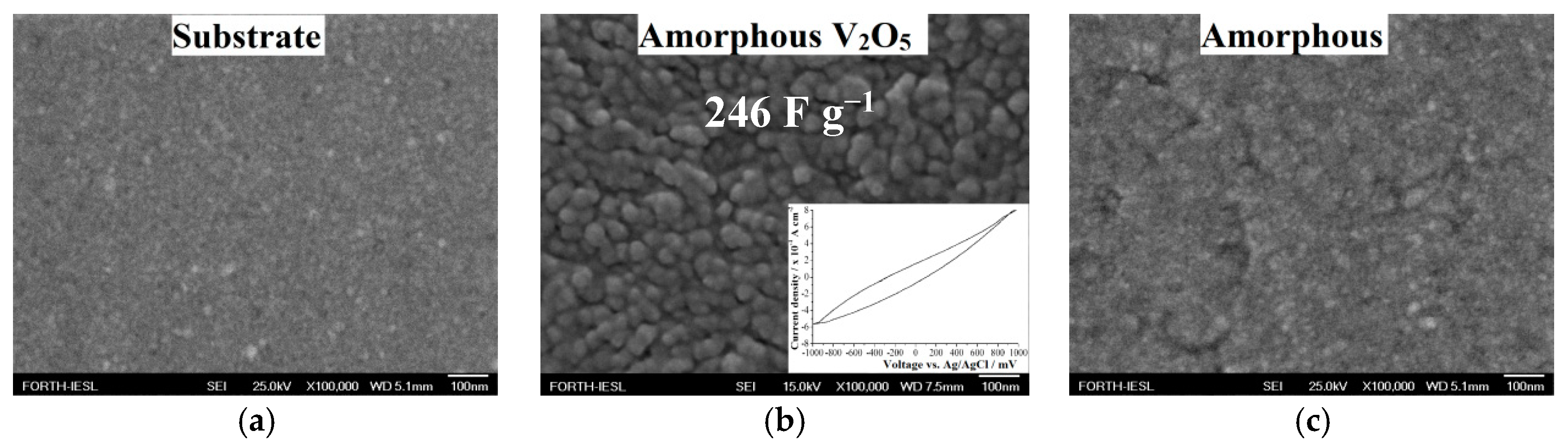 Molecules 25 05558 g001