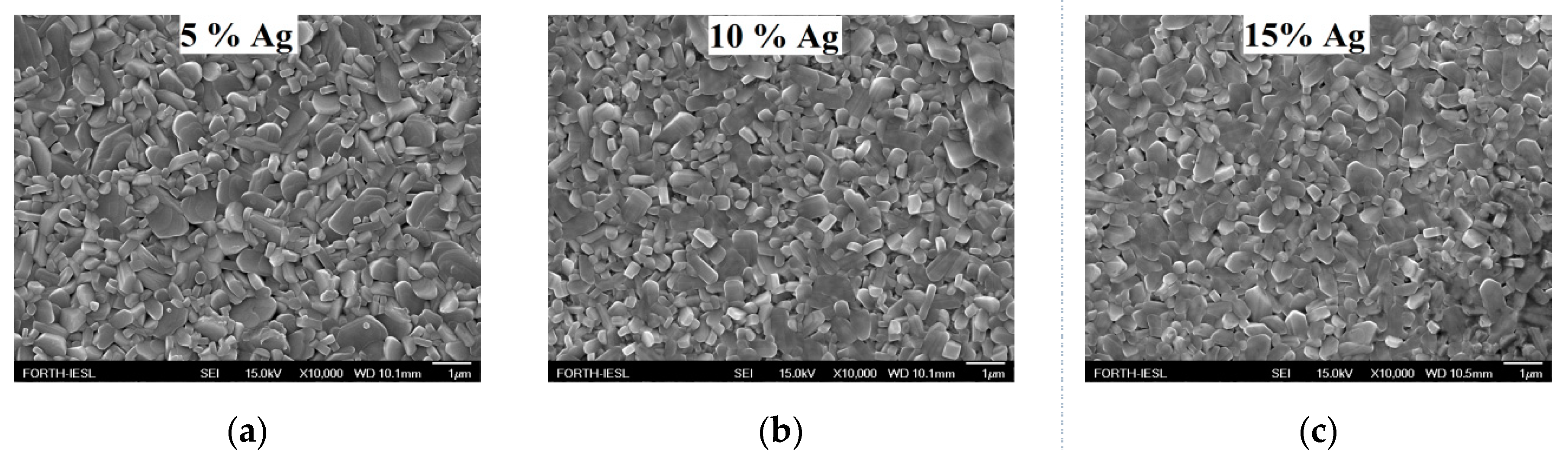 Molecules 25 05558 g002