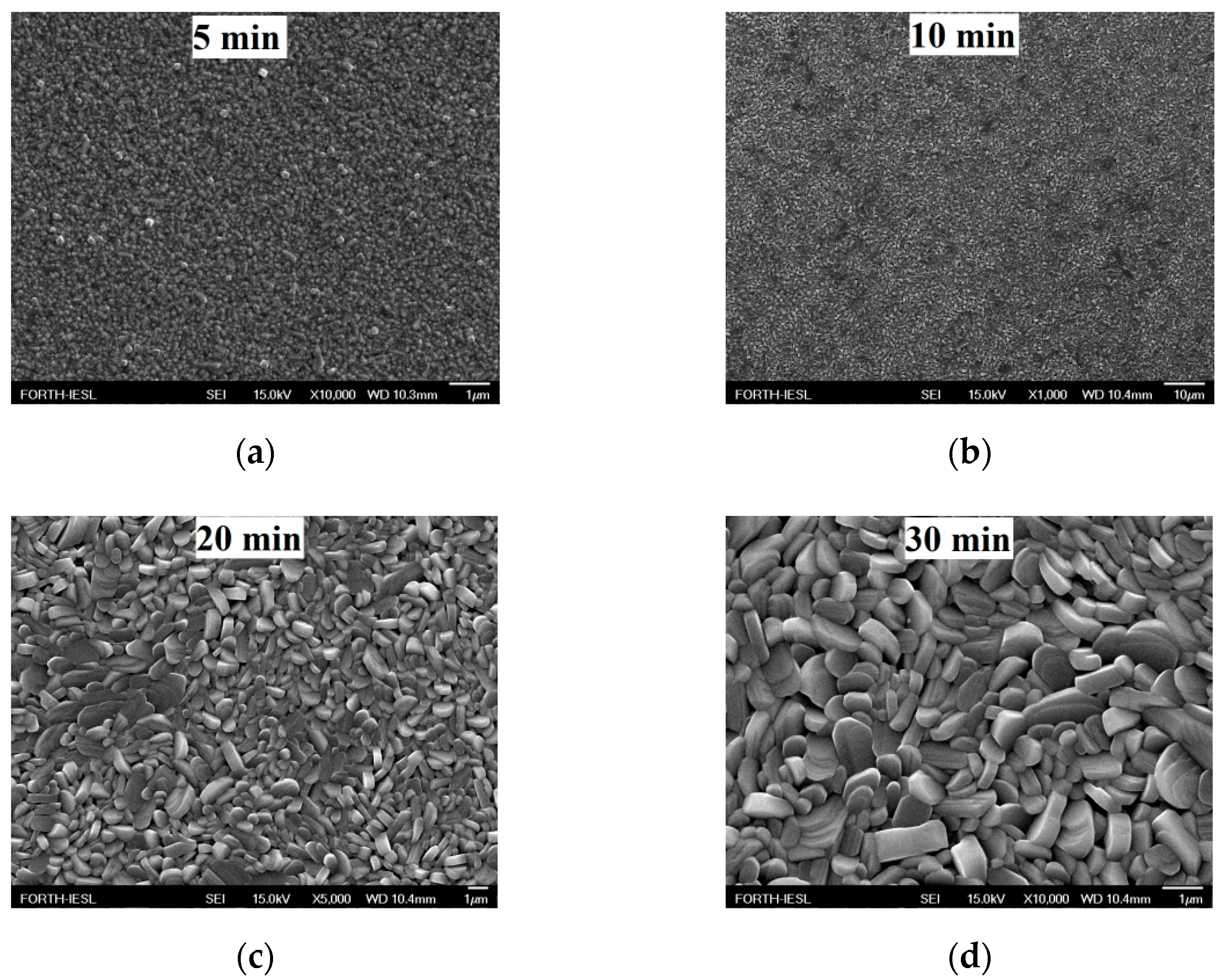 Molecules 25 05558 g003