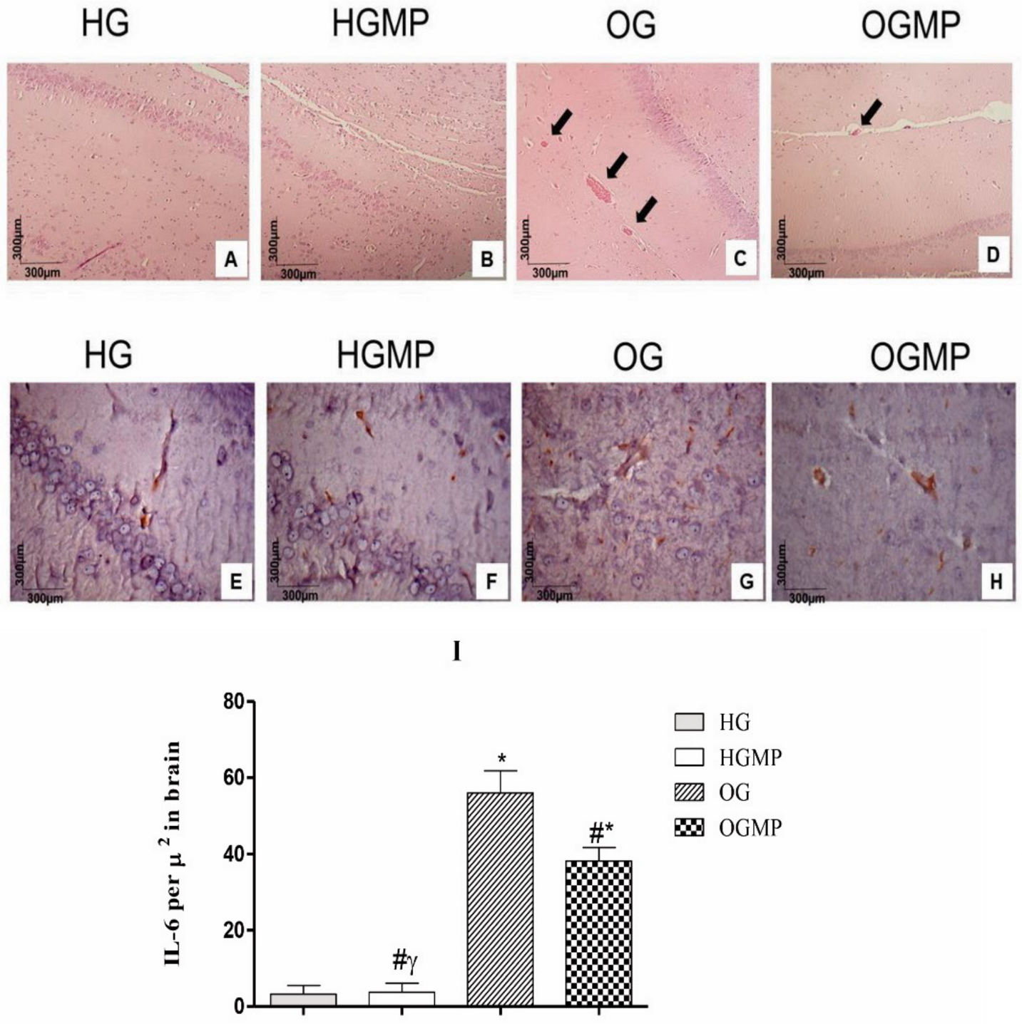 Molecules 25 05559 g006
