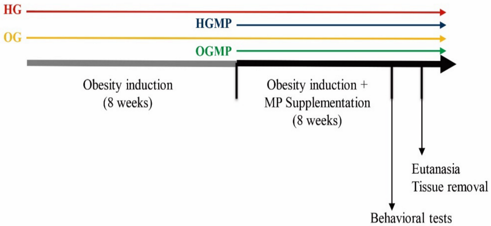 Molecules 25 05559 g007