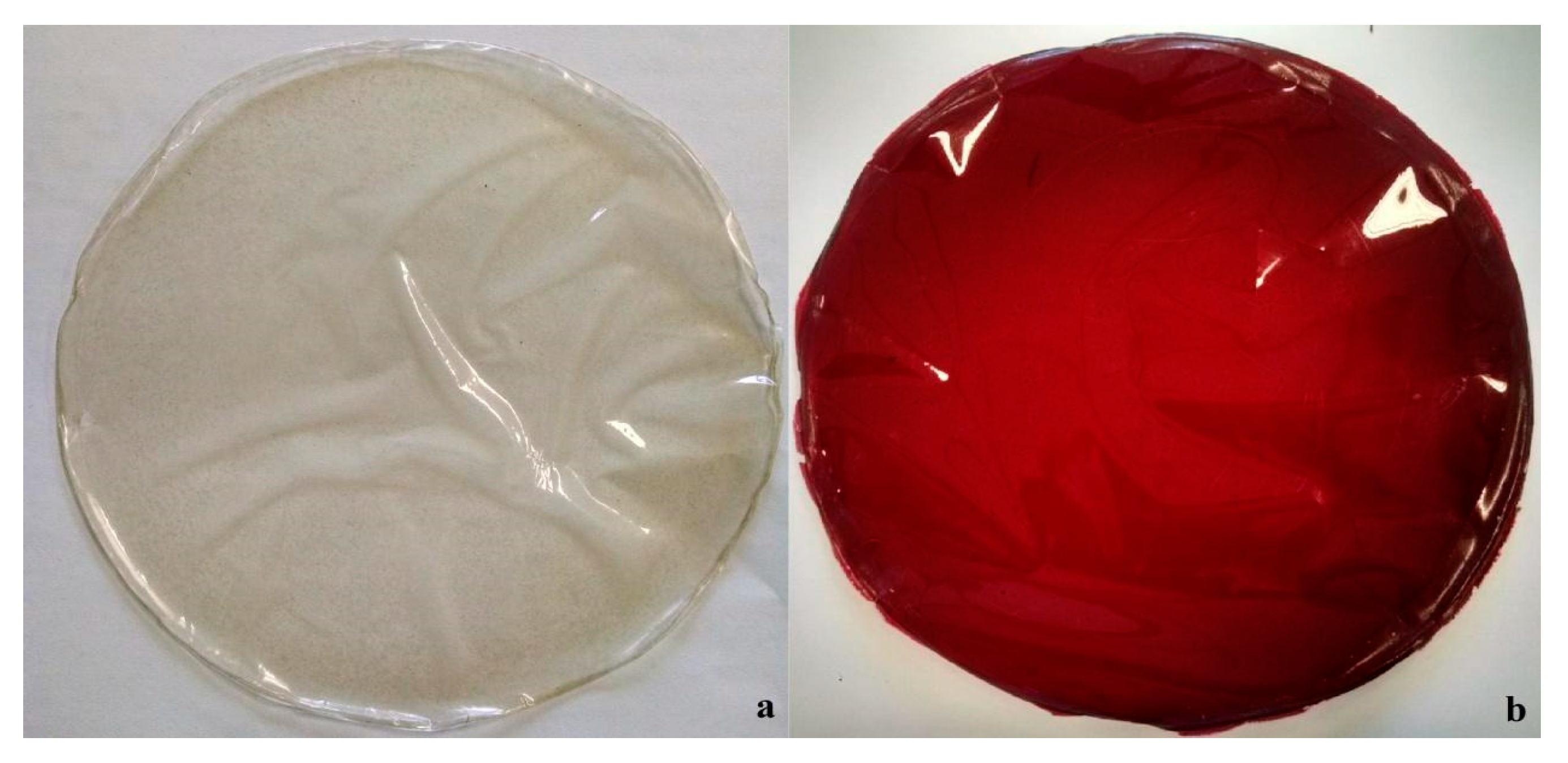 Molecules 25 05563 g004