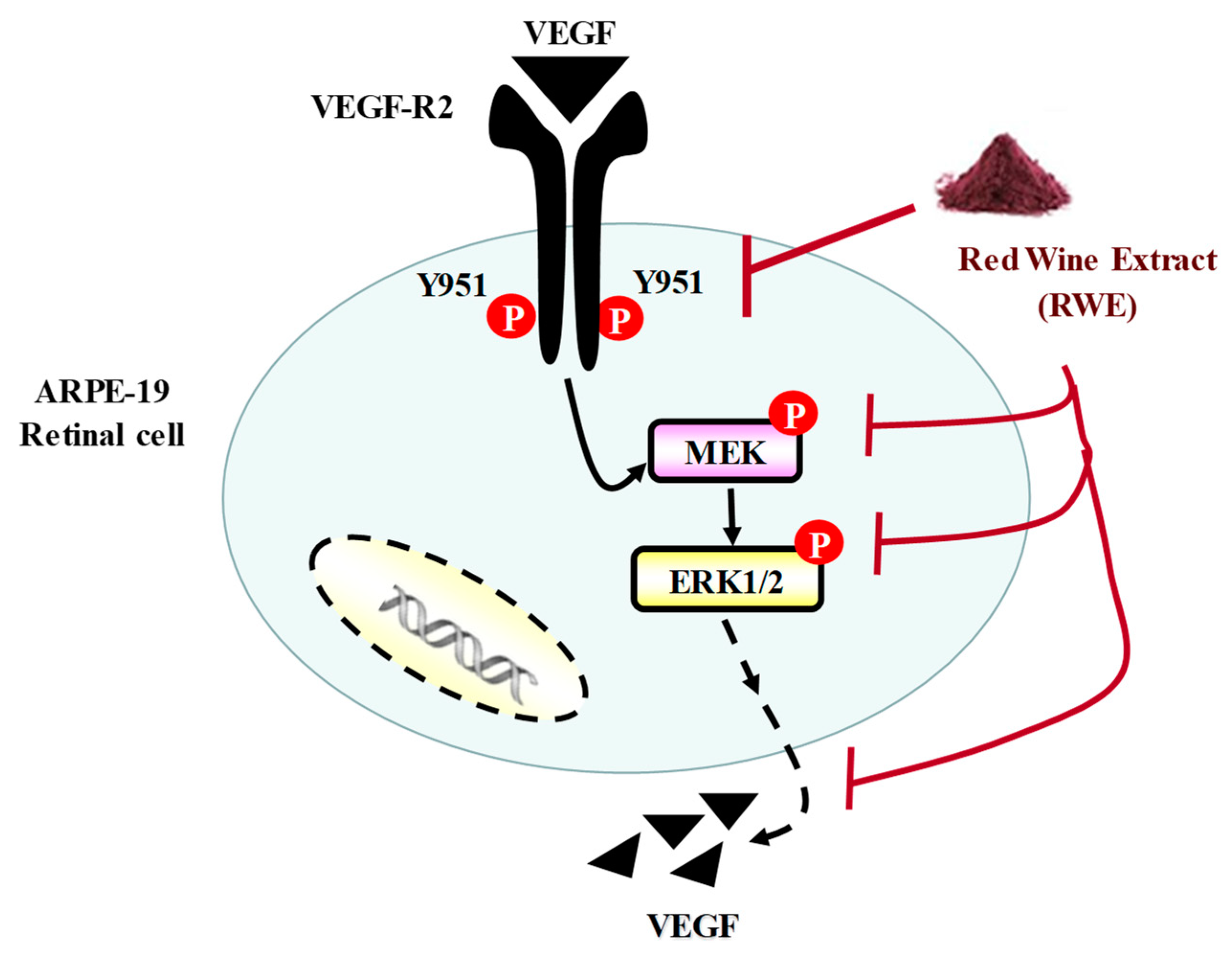 Molecules 25 05564 g007