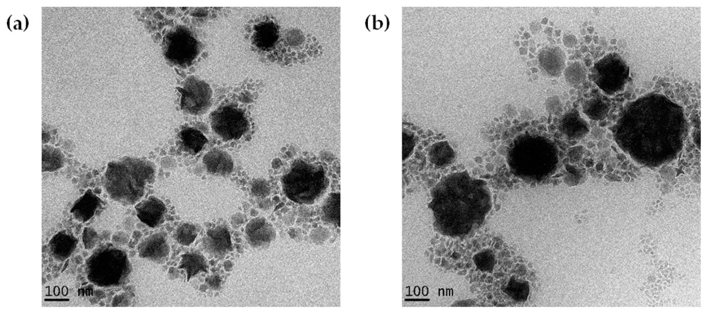 Molecules 25 05575 g003