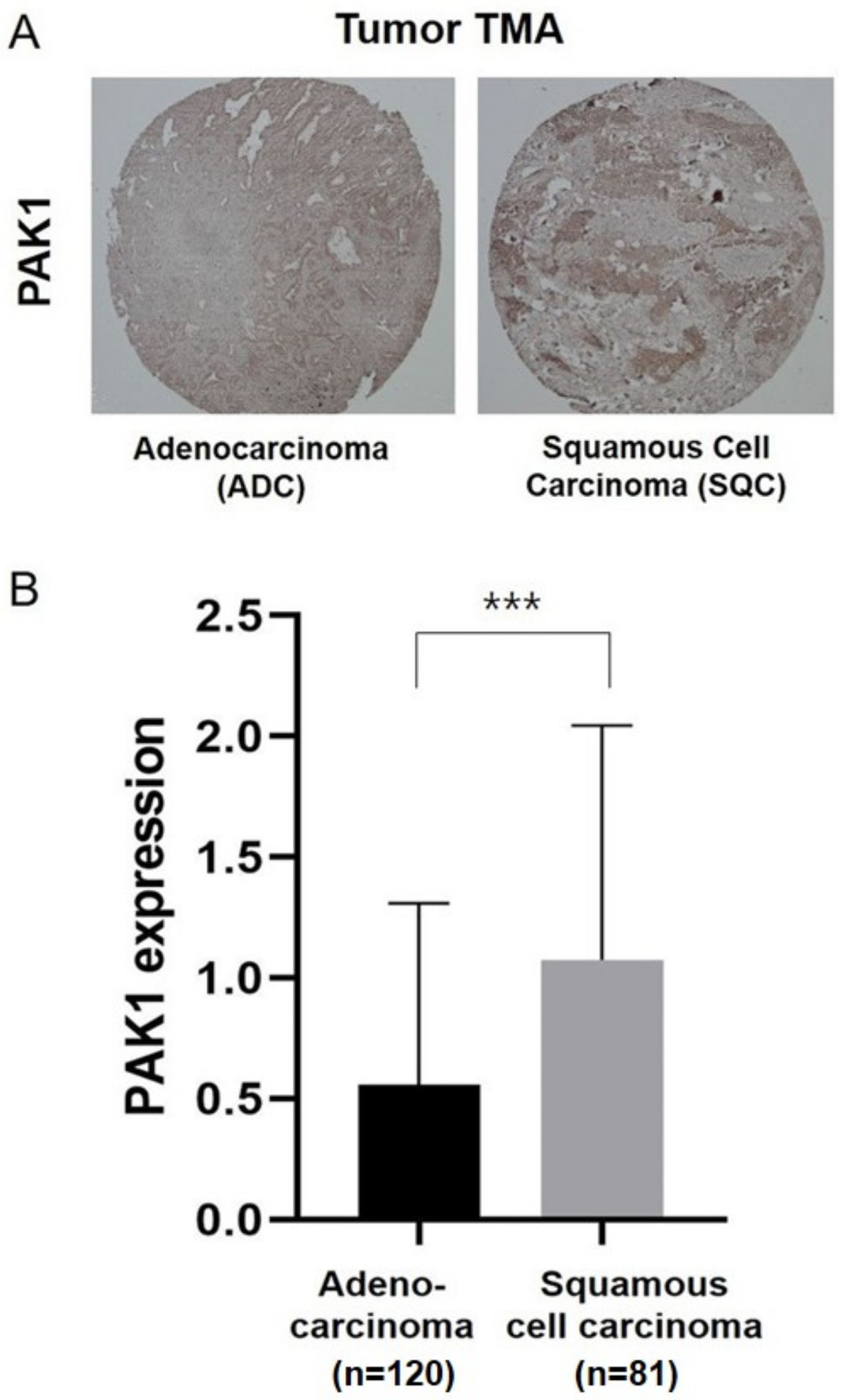 Molecules 25 05588 g002