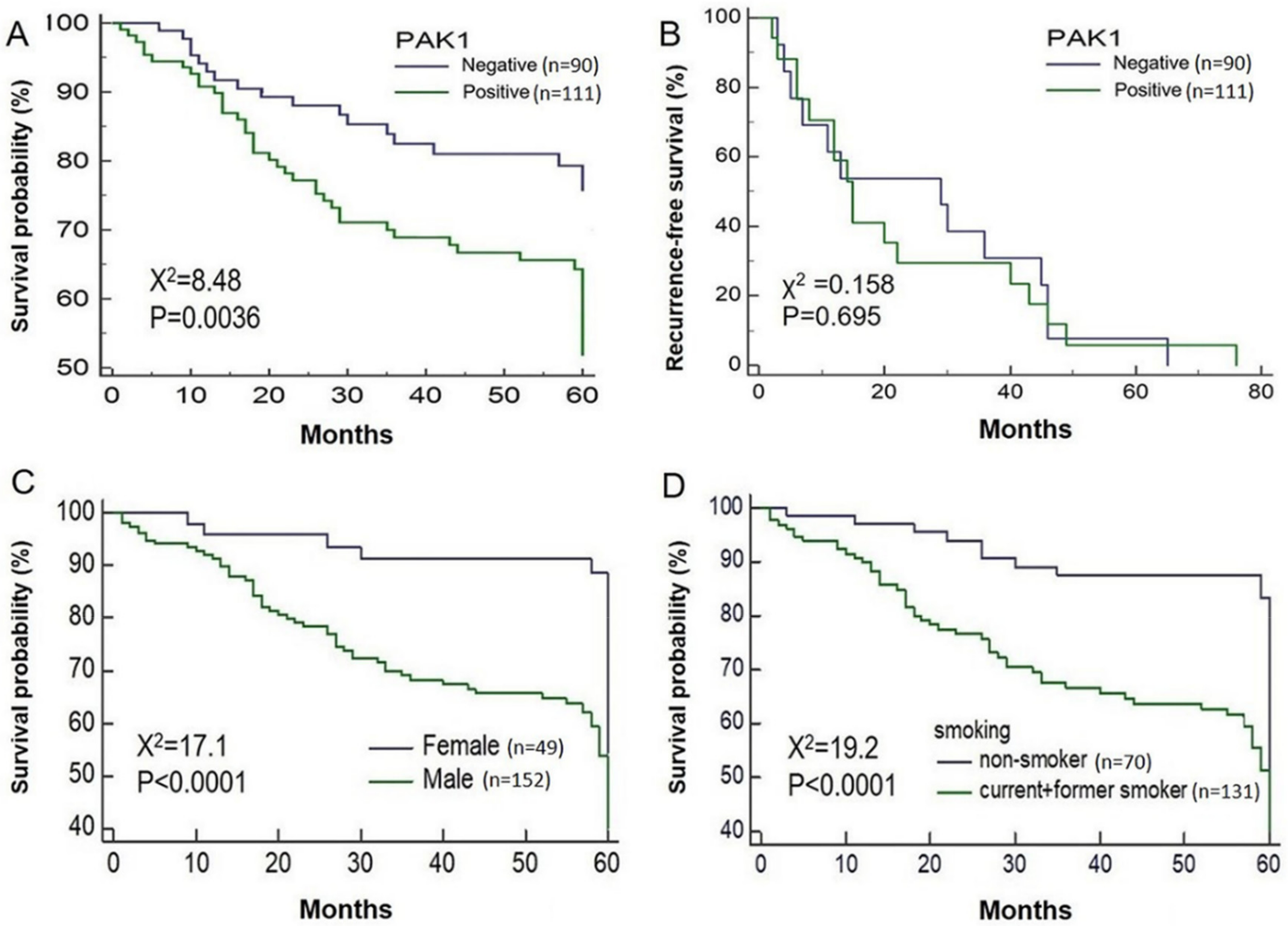 Molecules 25 05588 g003