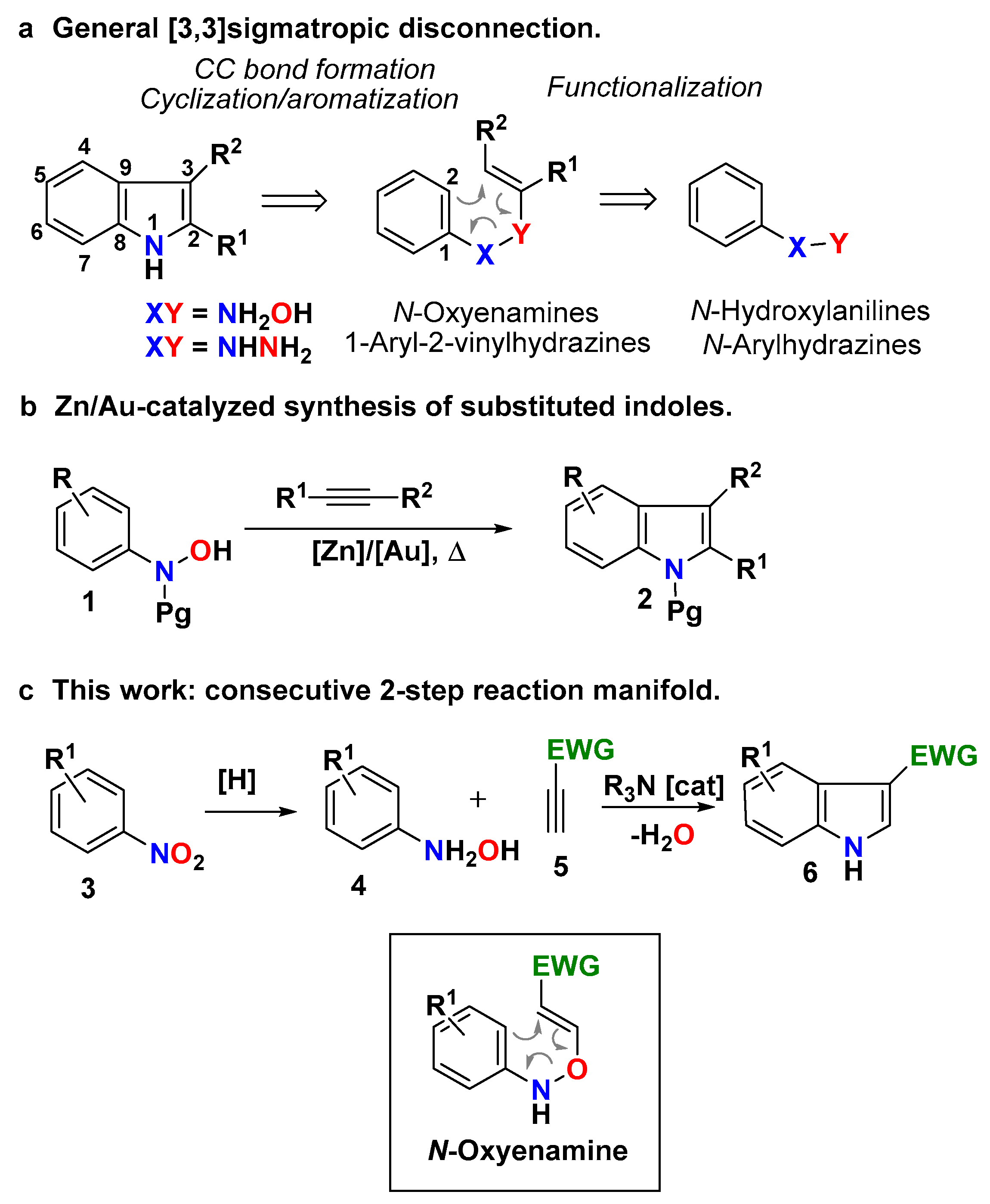 Molecules 25 05595 sch001
