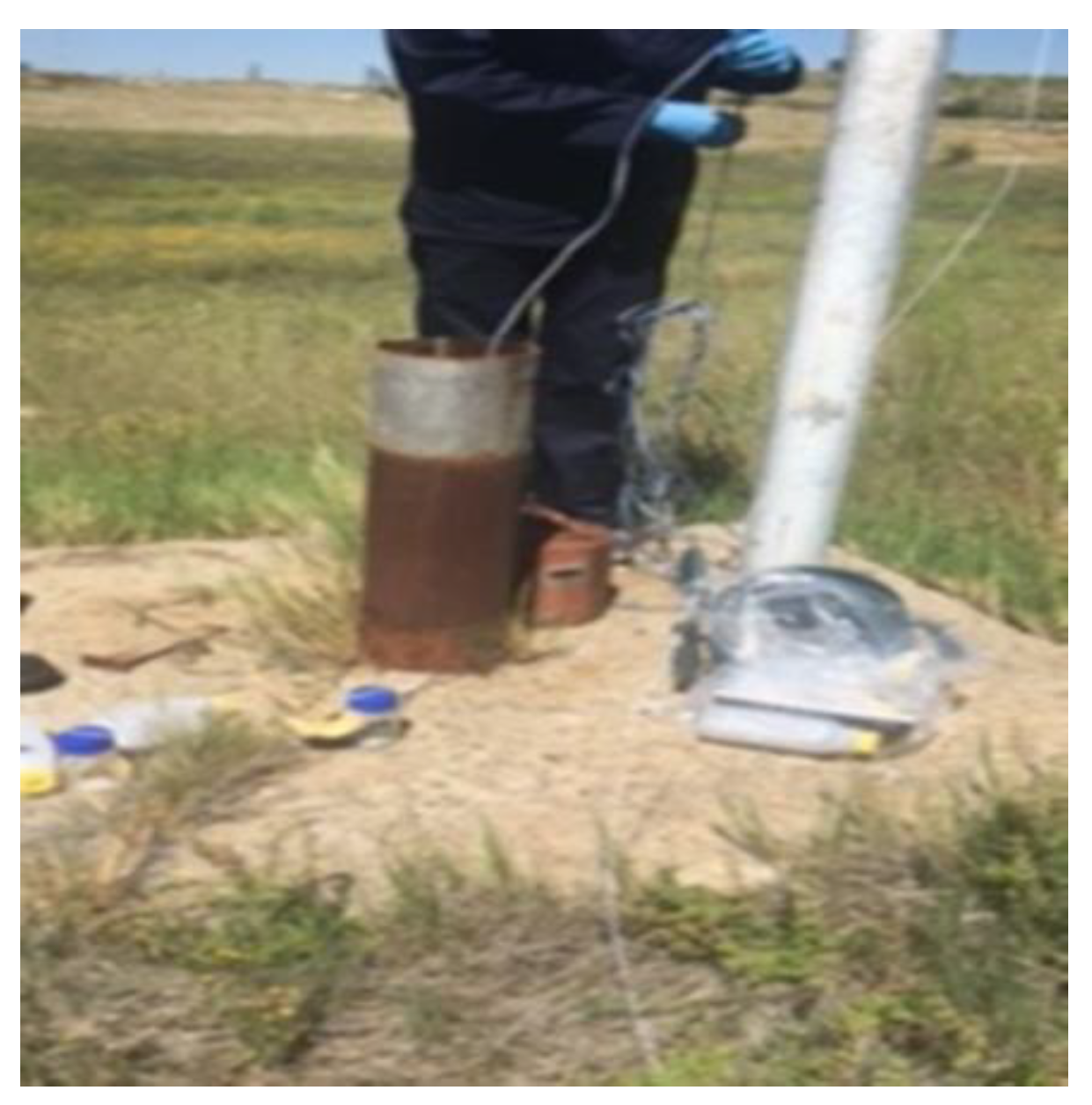 Molecules 25 05599 g009