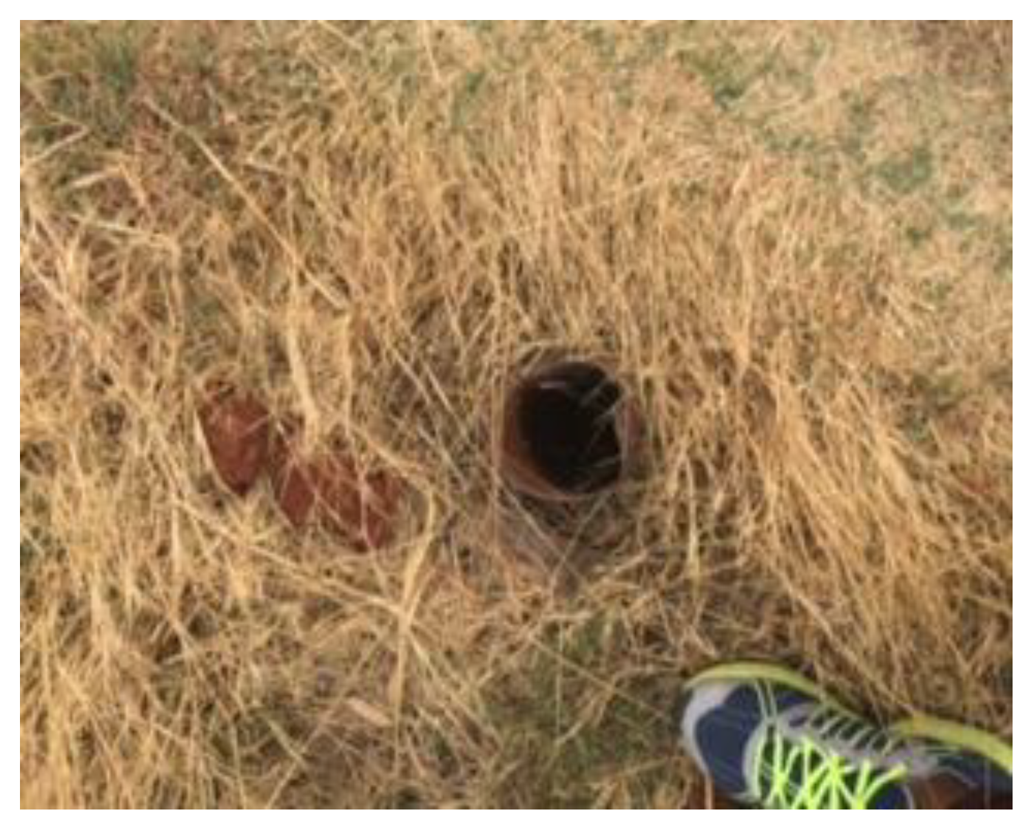 Molecules 25 05599 g010