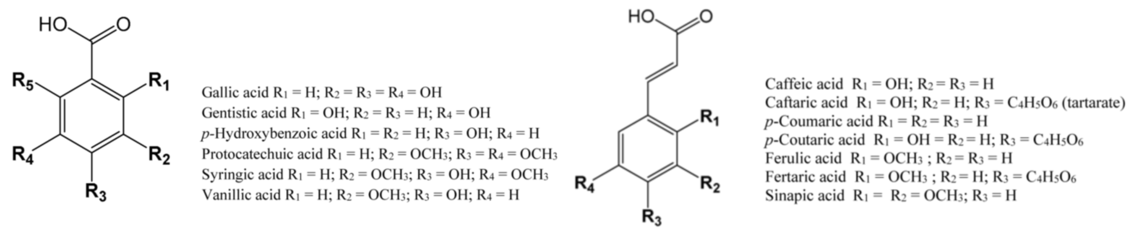 Molecules 25 05604 g001