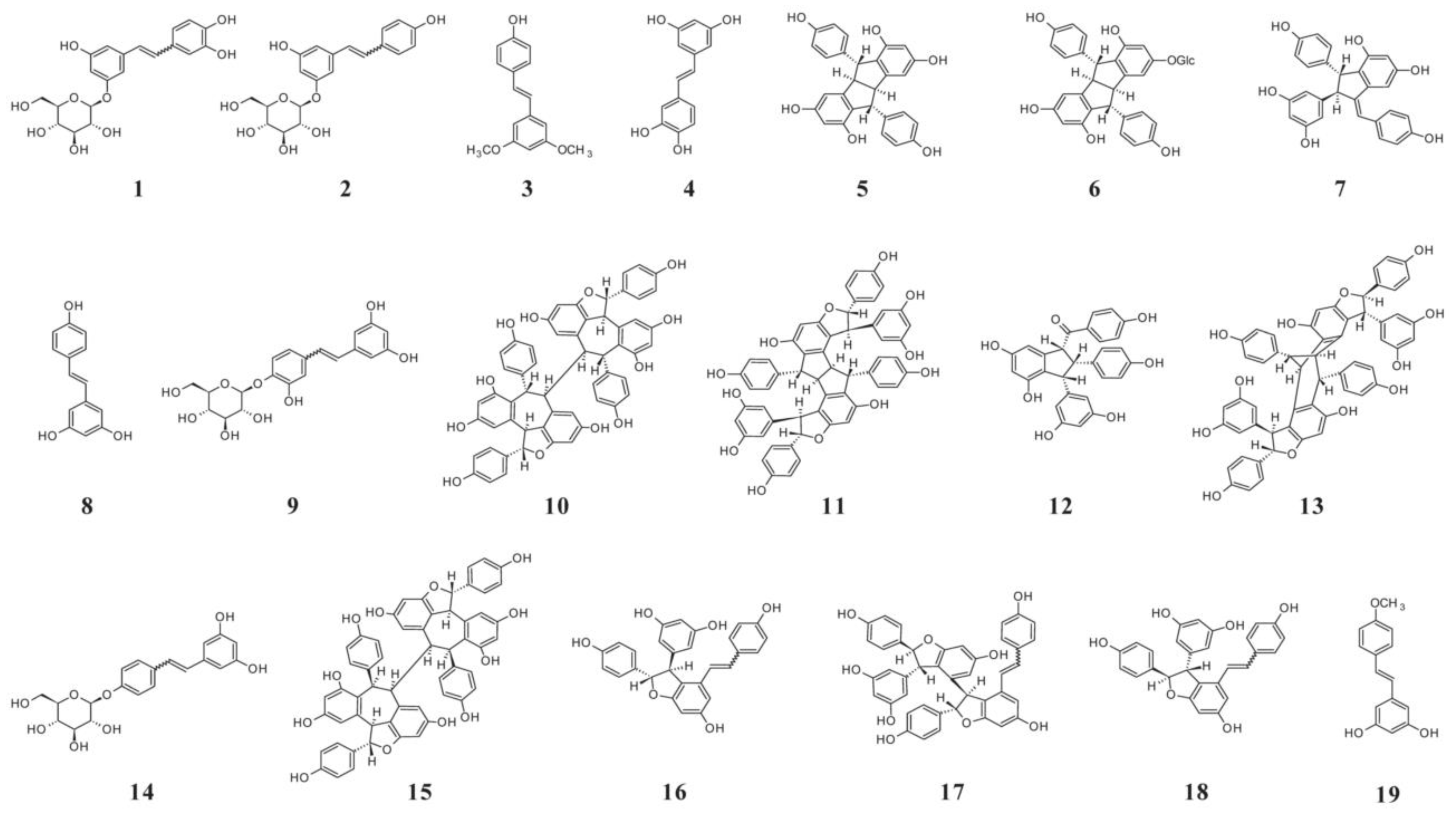 Molecules 25 05604 g002