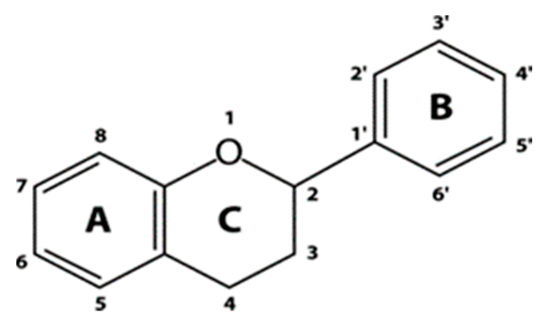 Molecules 25 05604 g003