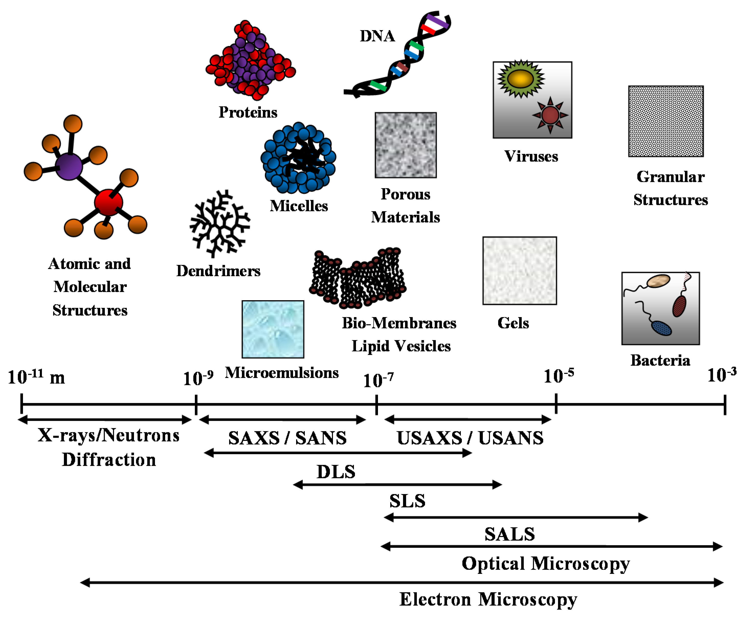 Molecules 25 05624 g001